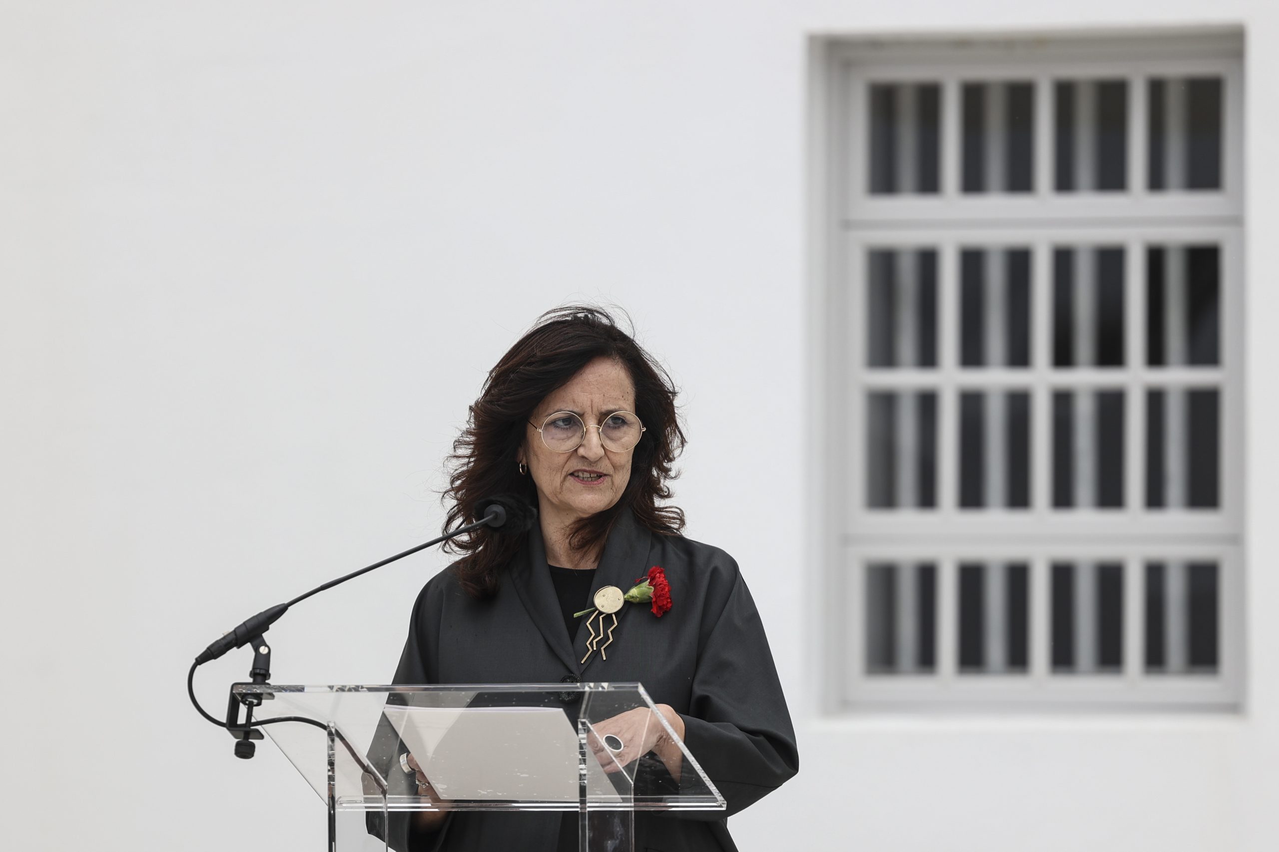 Fontelo, a mata centenária, que vai ser classificada monumento nacional