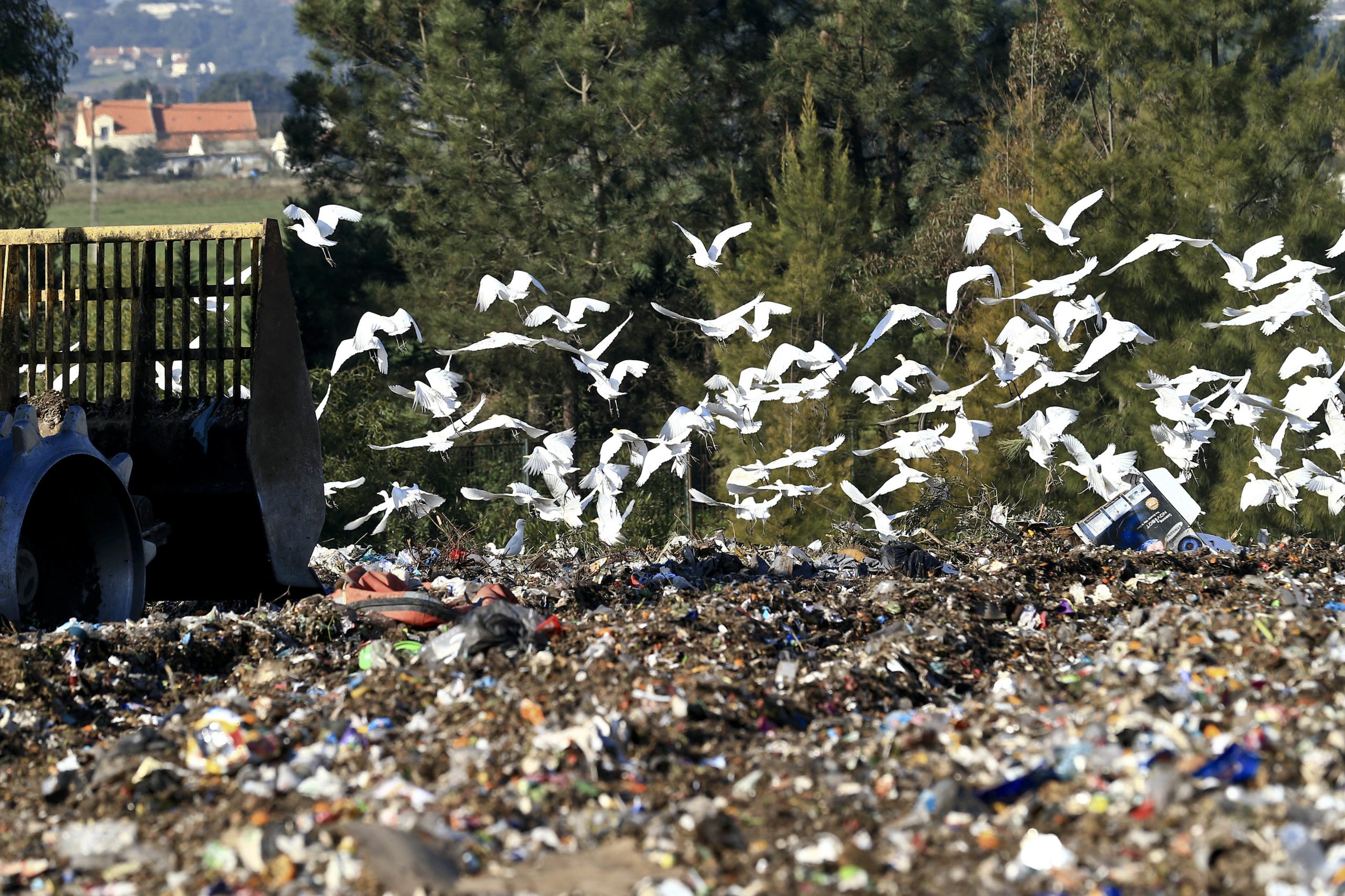 Câmara de Azambuja não autoriza alargamento de aterro contestado pela população