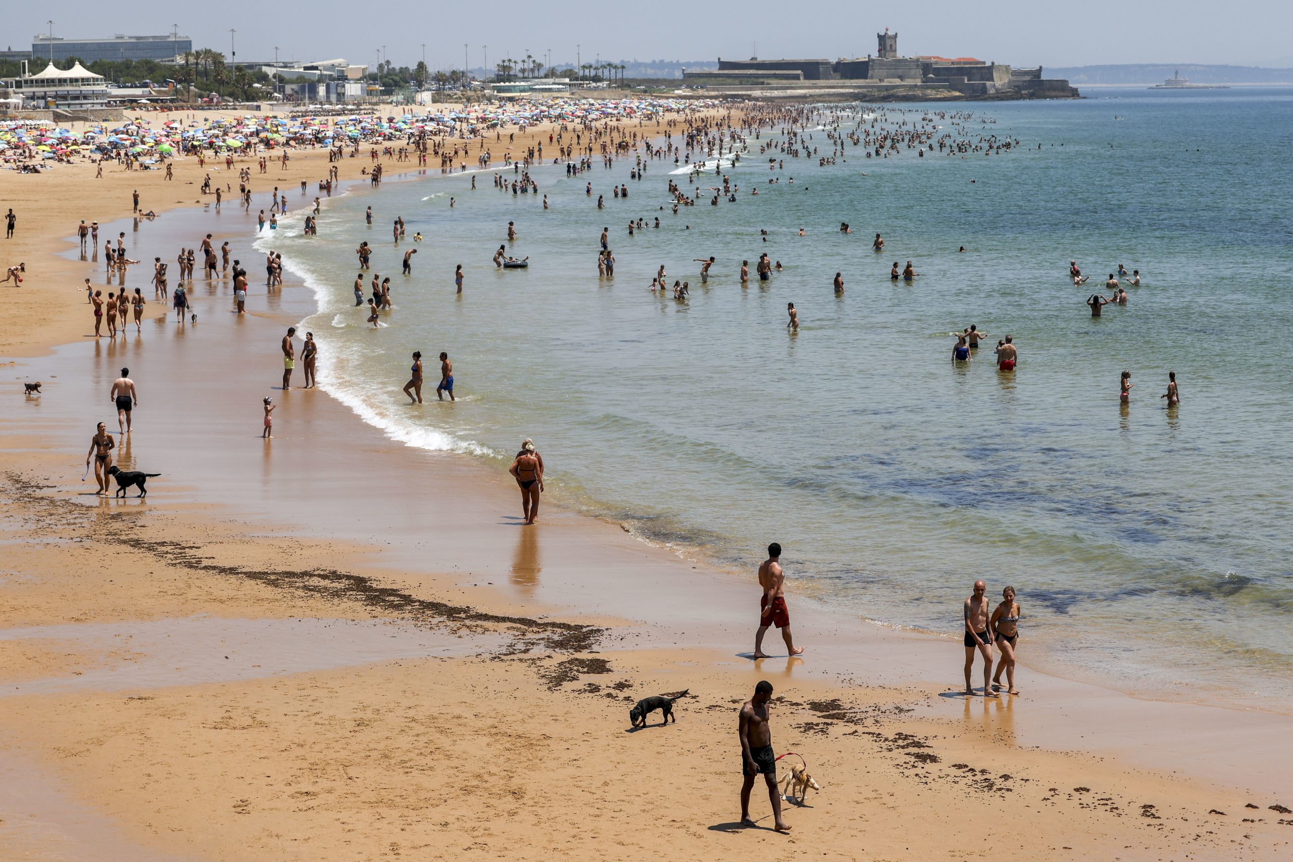 Banhos nas praias da Poça e das Moitas em Cascais interditos devido a bactérias fecais