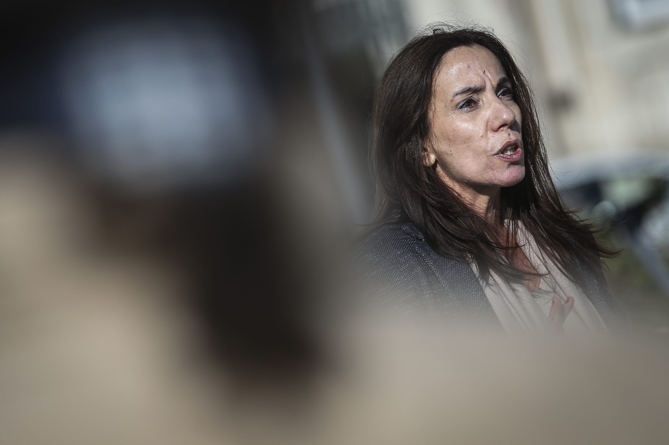 Legislativas: PEV pede aos portugueses para se lembrarem da maioria absoluta do PS