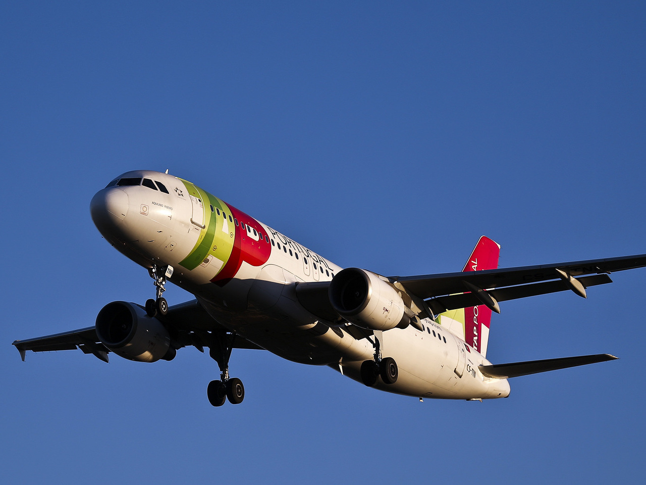 Madeira e Açores abrangidos pelas novas tarifas ‘low cost’ da TAP