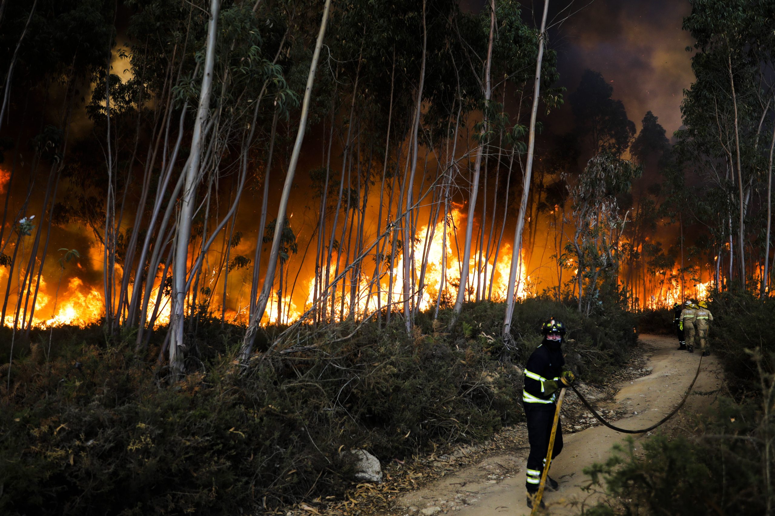 Incêndios: Penacova é o único fogo preocupante a deflagrar