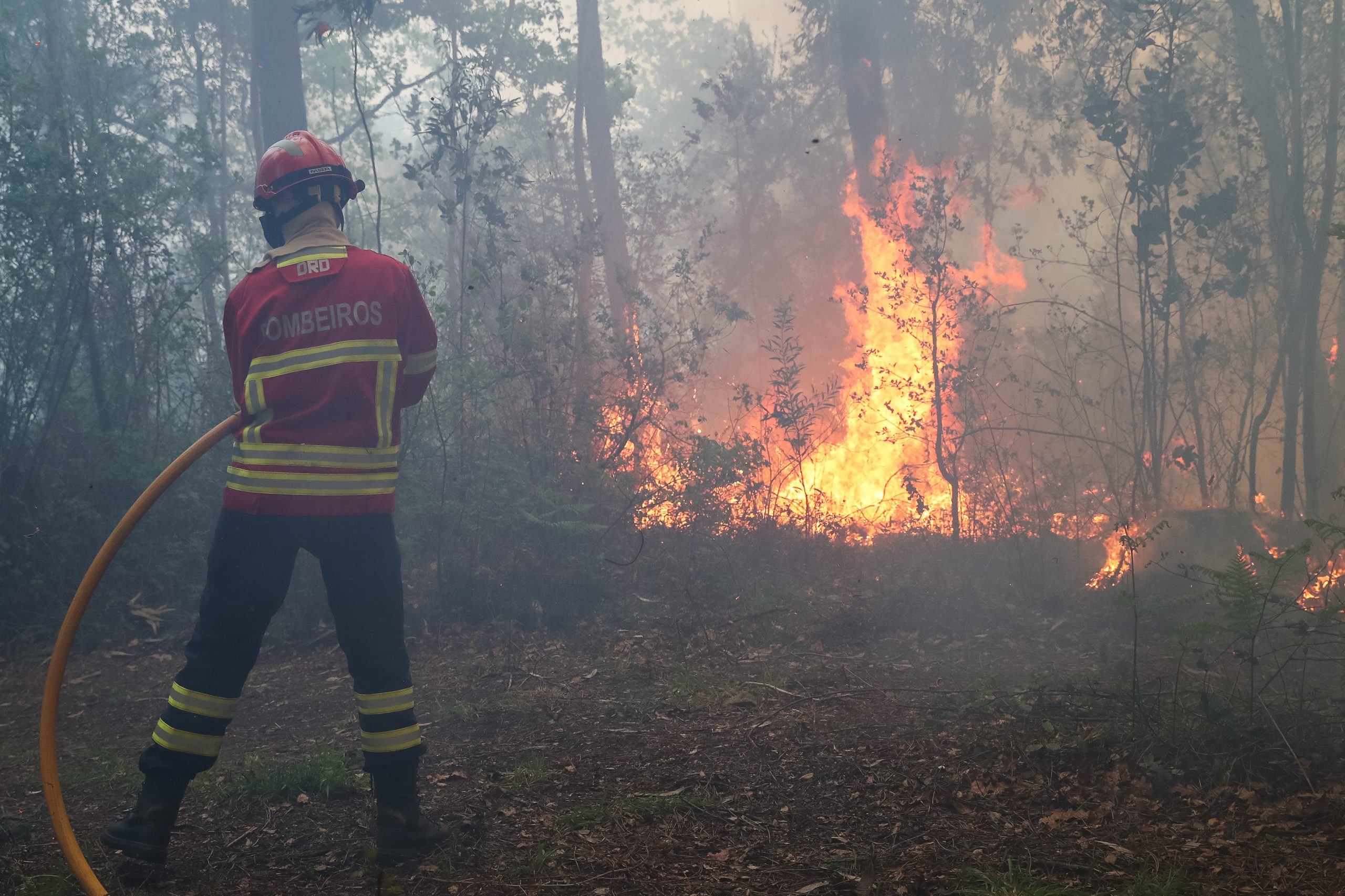 Incêndios: Dominado fogo no concelho de Moura