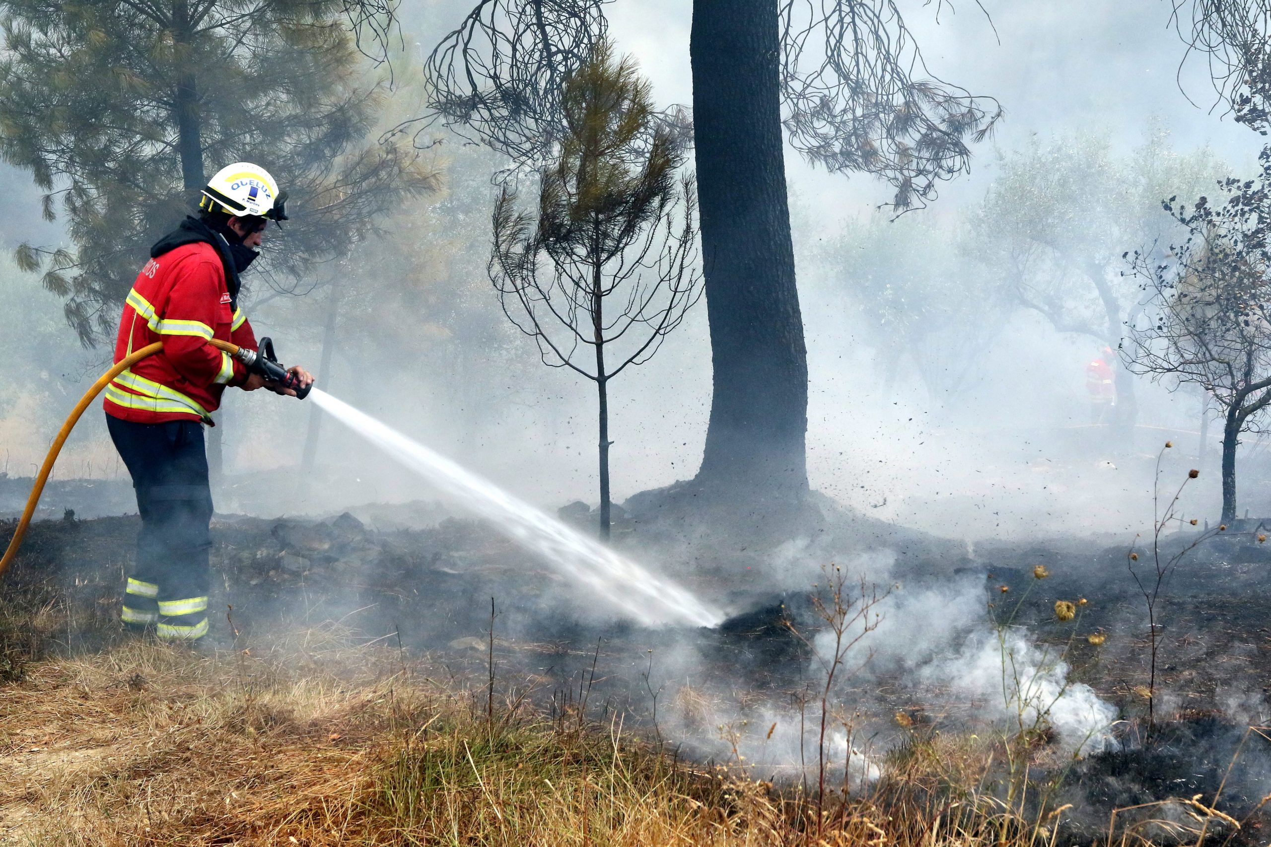 Fogo em resolução em Vila de Rei e em 70% do território atingido em Mação