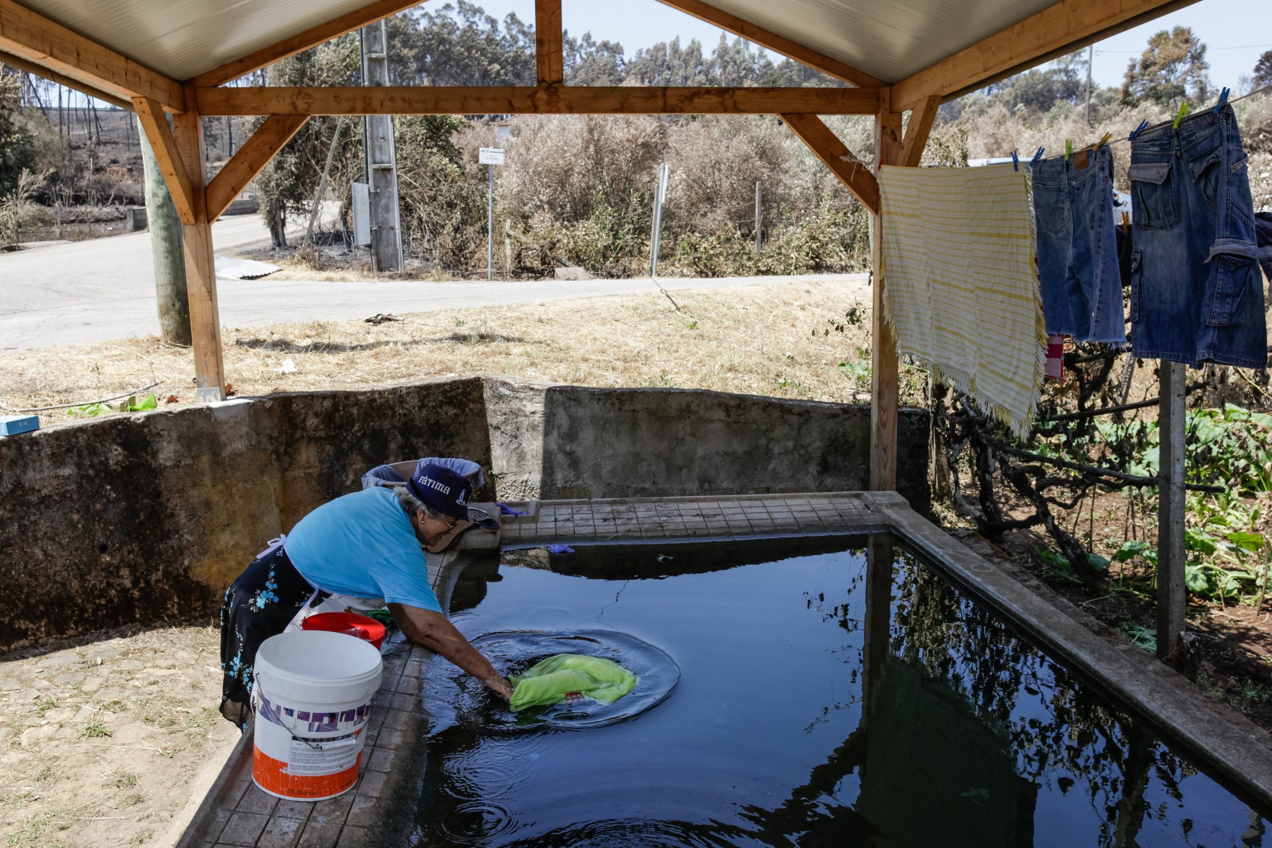 Depois do fogo, nasce um “jardim da esperança” ao lado do tanque que salvou uma dúzia de pessoas