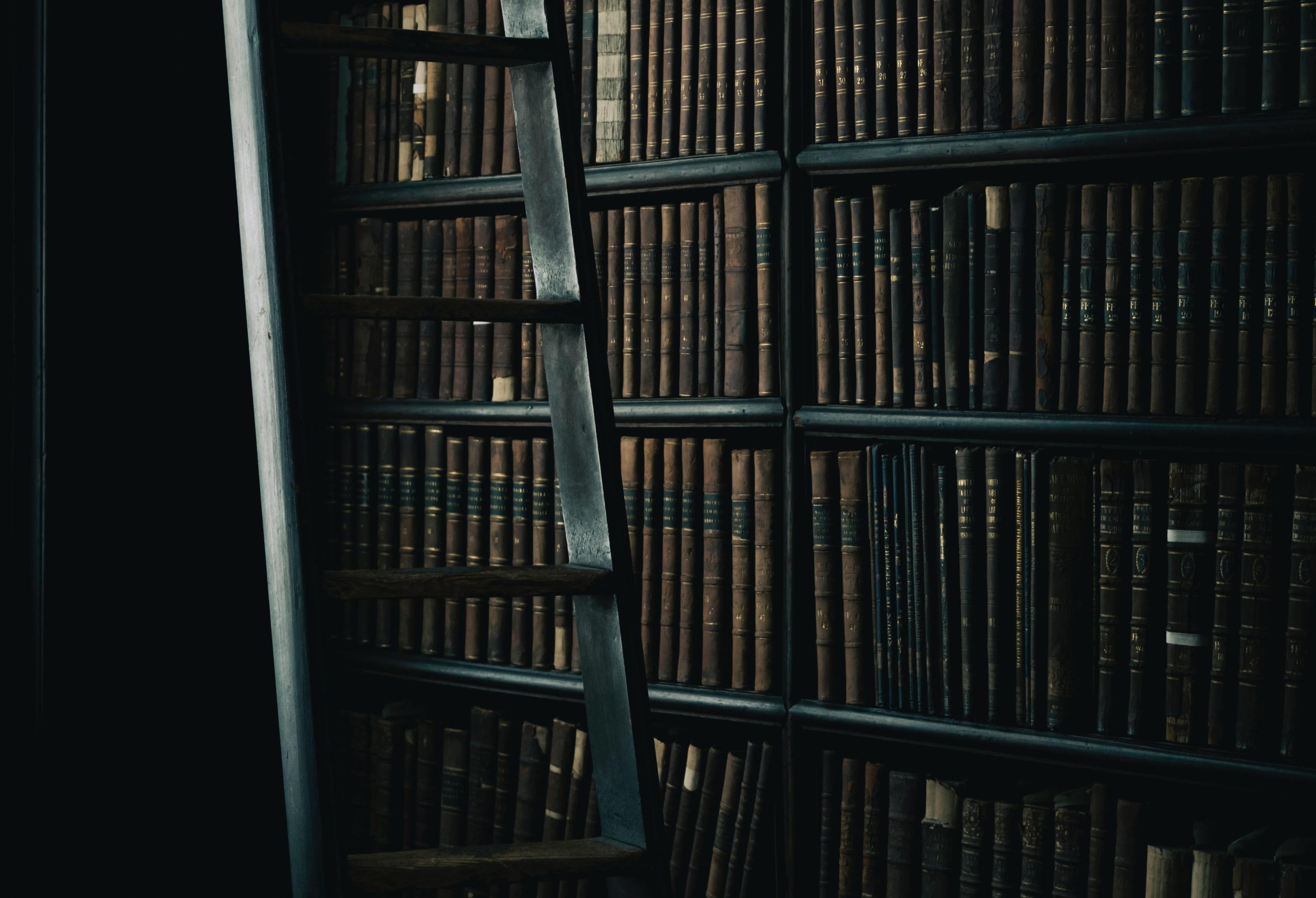 Porto. Quiz literário, poesia, livros e mais. Em outubro o ponto de encontro é nas bibliotecas