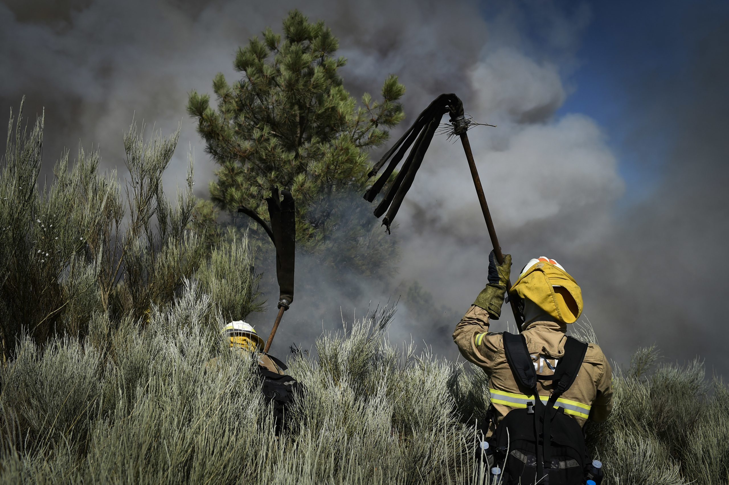 Incêndio em Odemira já em fase de rescaldo consumiu 200 hectares
