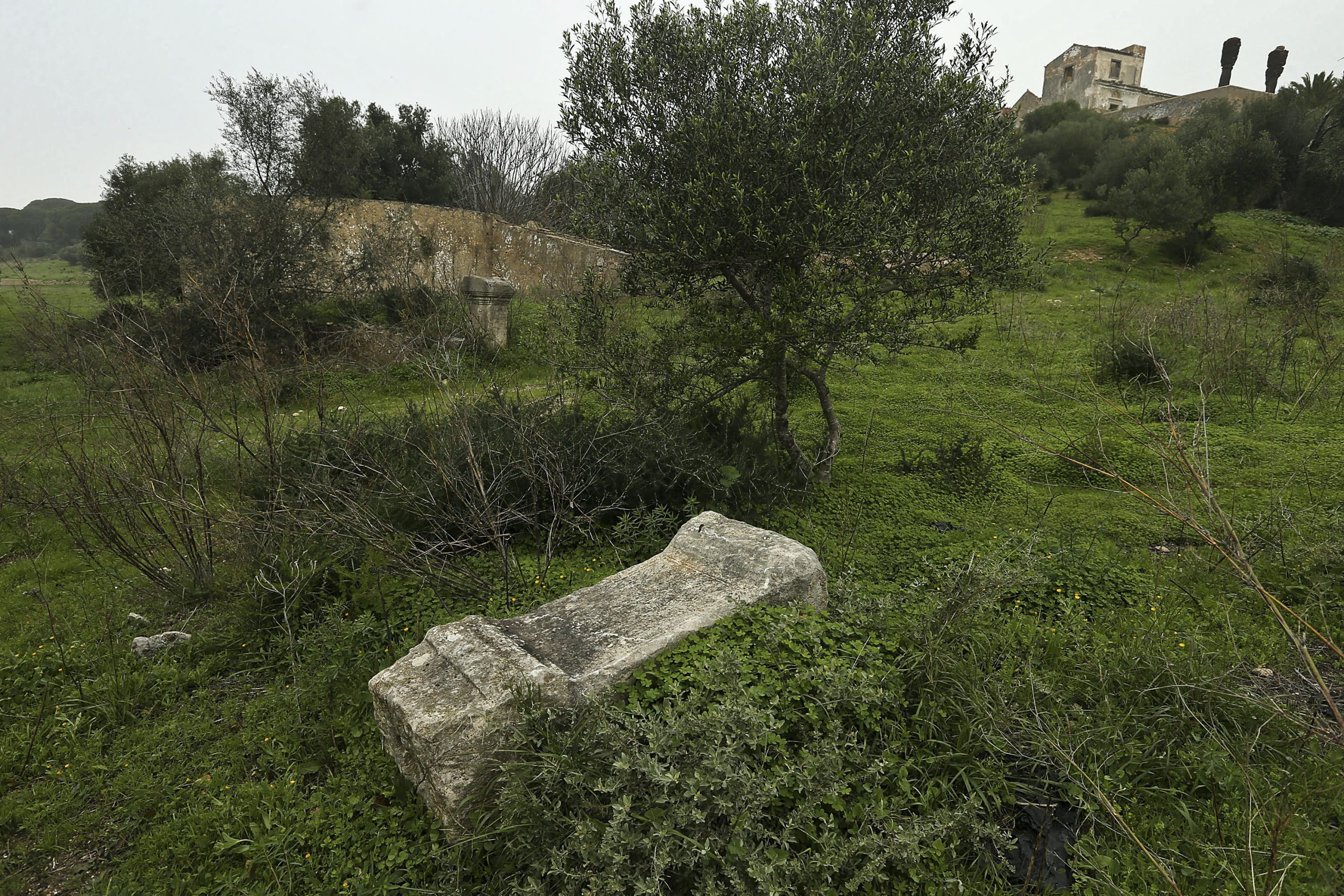 Cidade romana de Balsa (Tavira) era menor do que se pensava, diz investigador