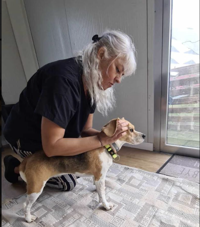 O sábado é dia de massagens? Sim, mas para os cães
