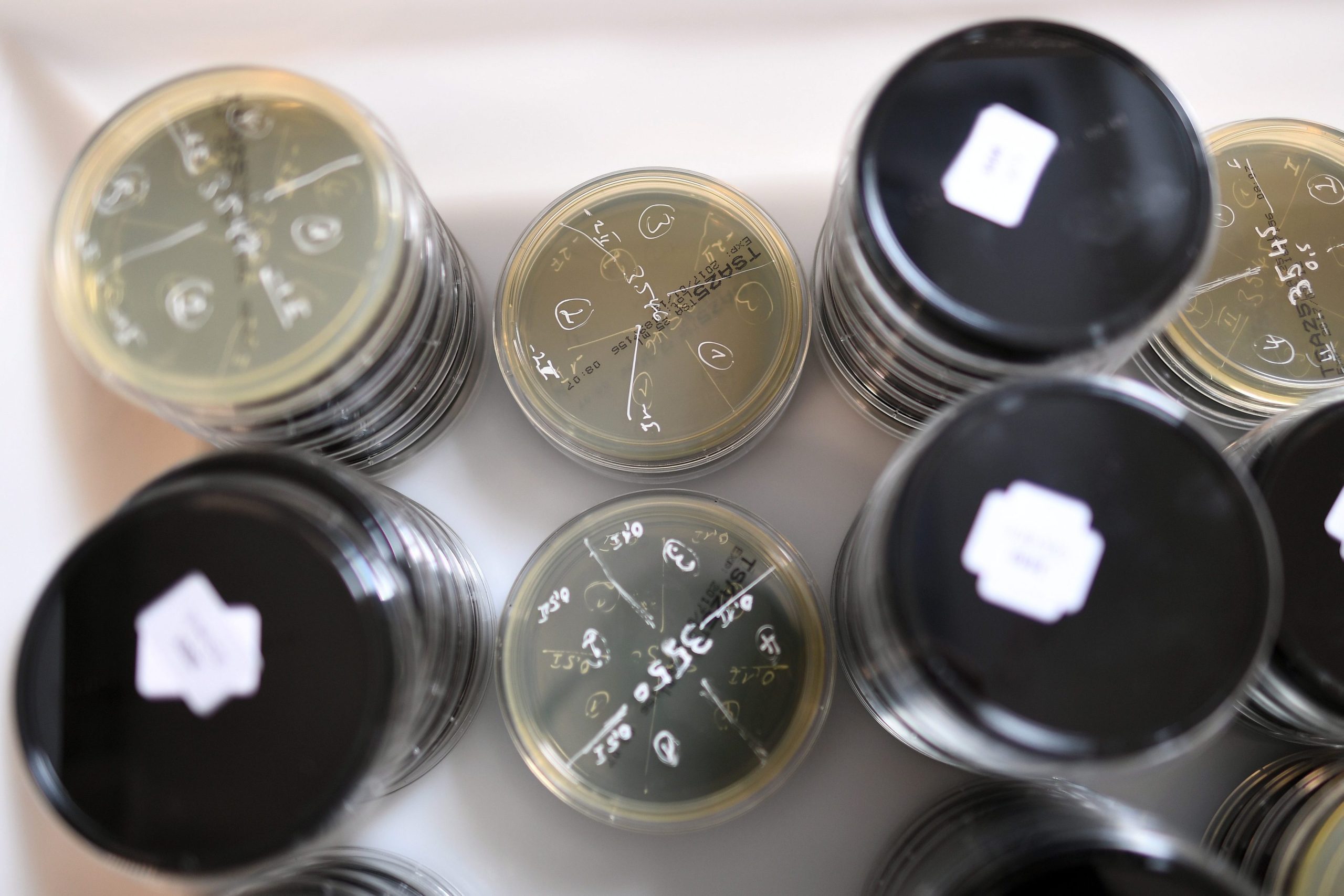 Descoberta presença de ‘legionella’ pela segunda vez em sete meses no Hospital da Horta