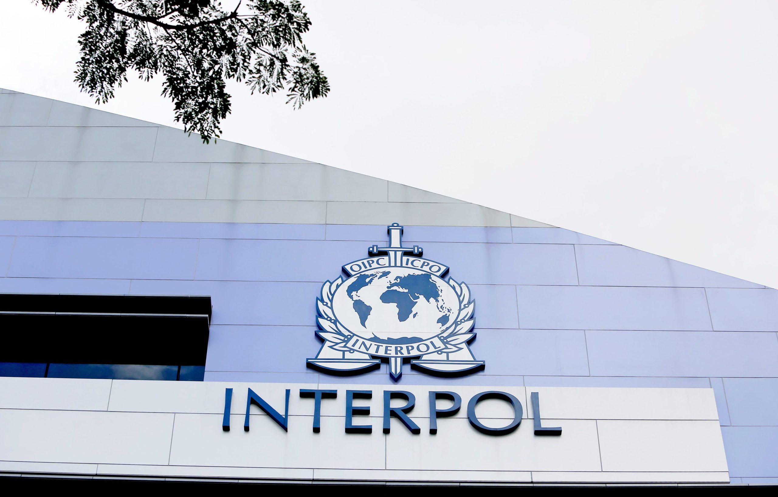Interpol resgata 500 vítimas de contrabando de seres humanos e efetua 195 detenções