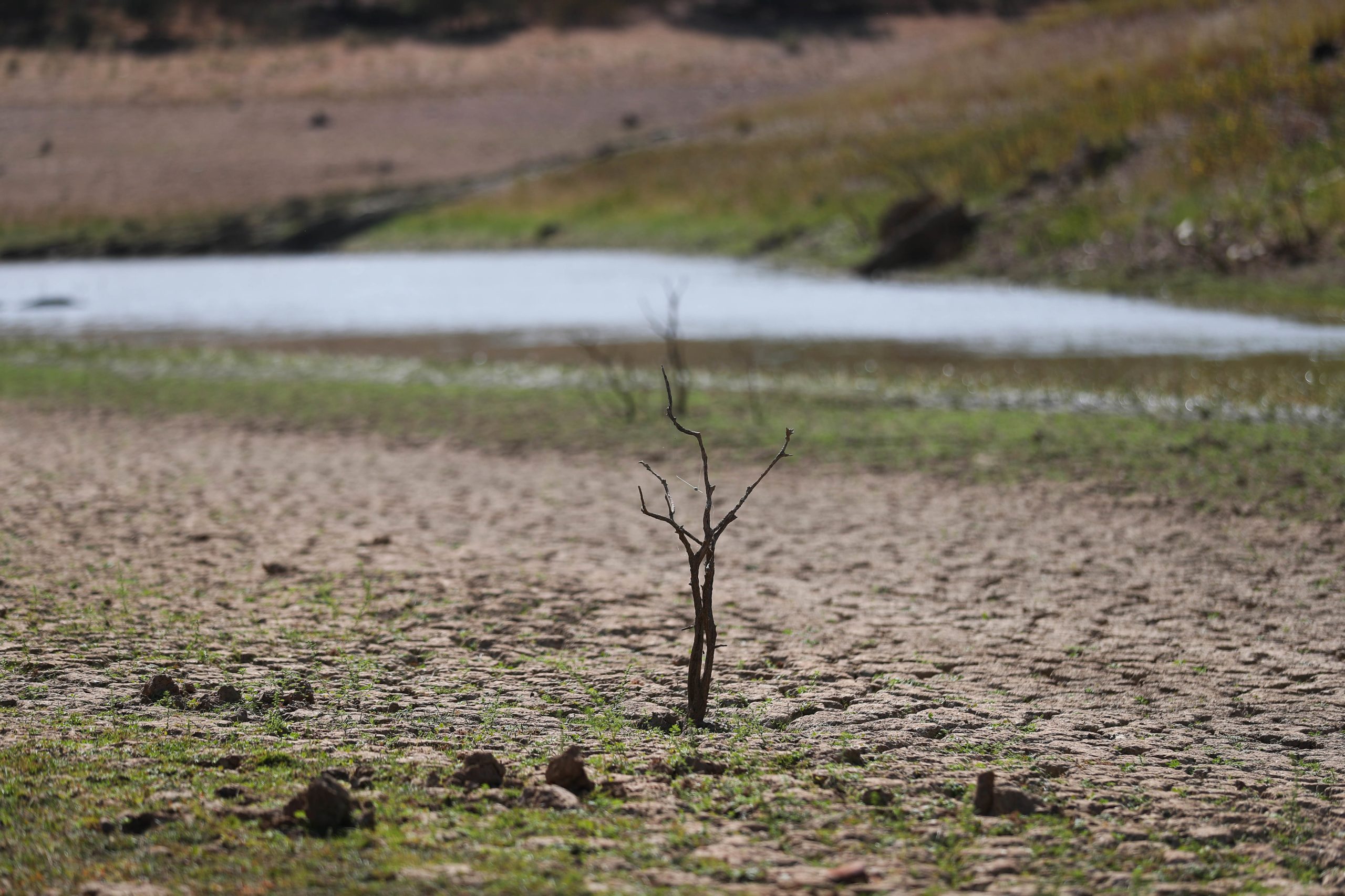 Estudo luso-espanhol ajuda a prever efeitos das alterações climáticas no solo