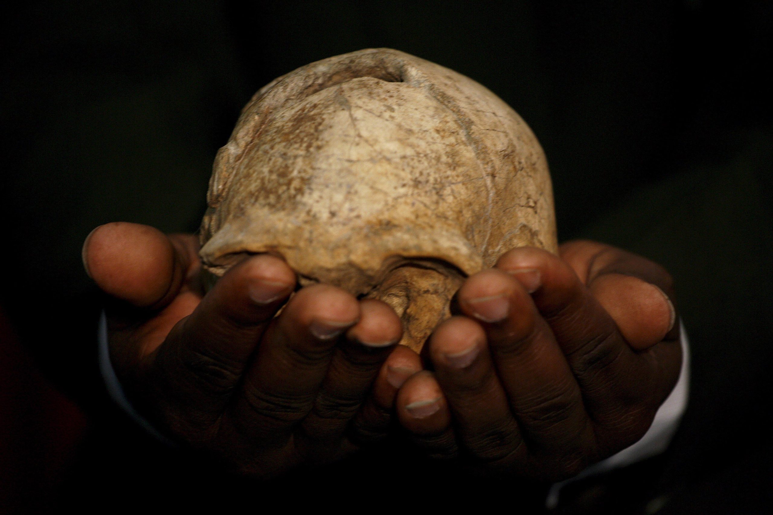 Cientistas encontram vestígios de mulher descendente de duas espécies de humanos