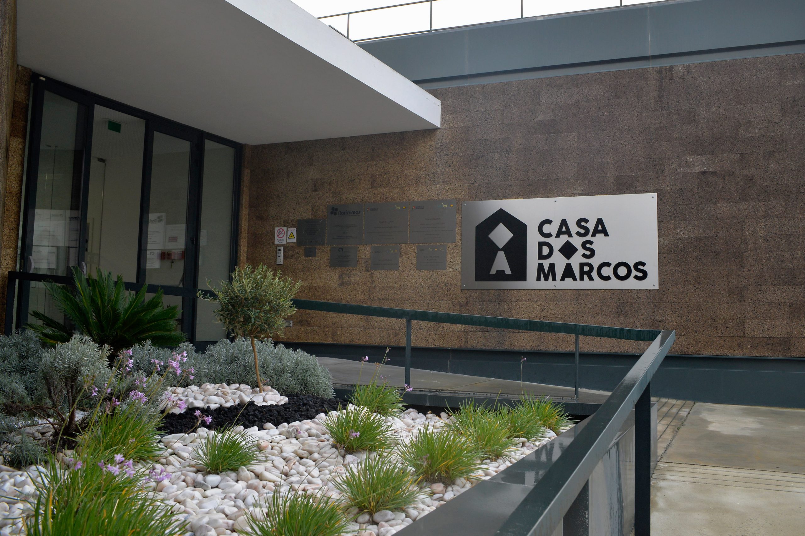 Raríssimas: Funcionários à porta da instituição em protesto pela presença de ex-presidente