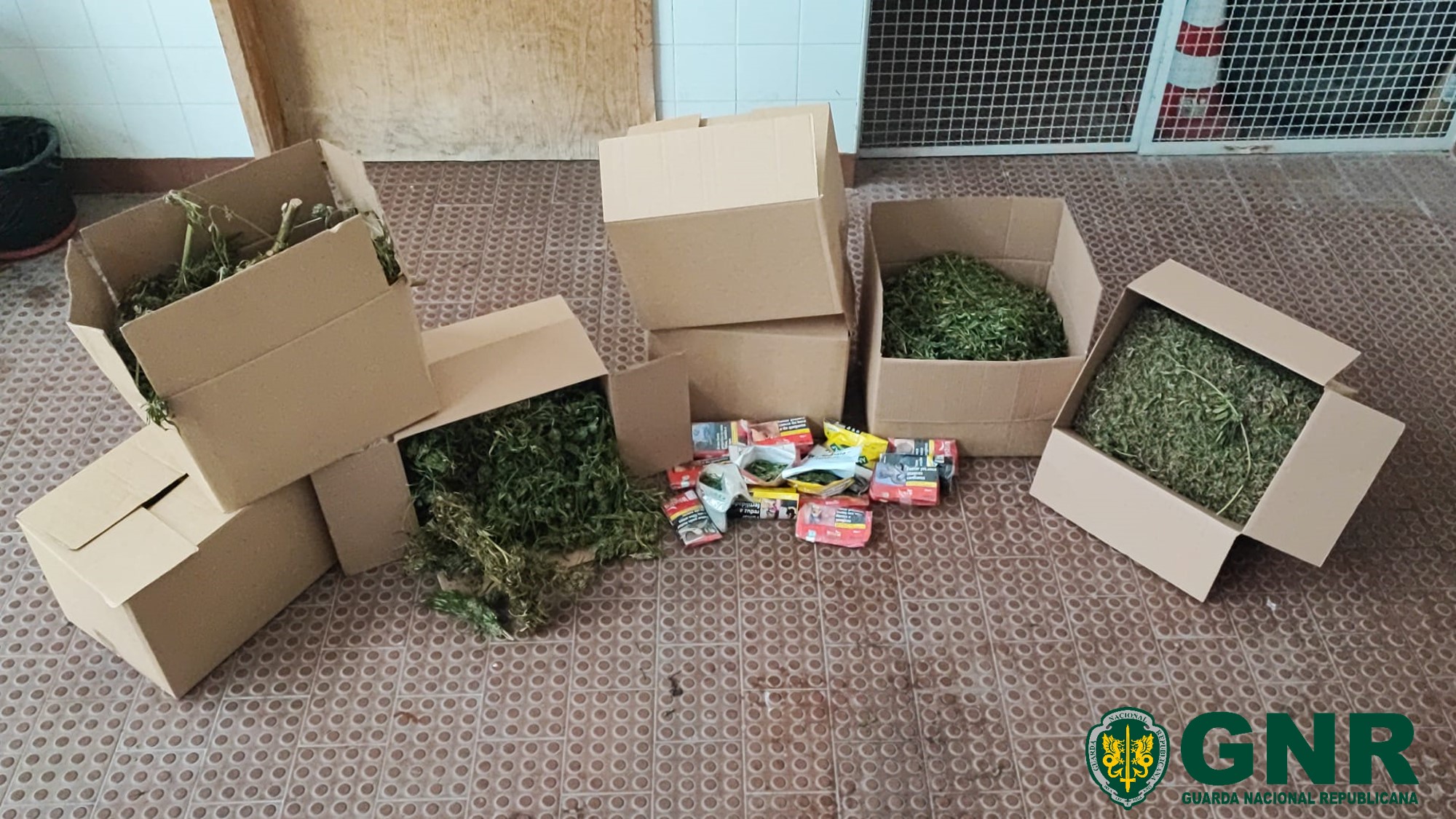 Detido em Rio Maior com mais de 5.700 doses de droga