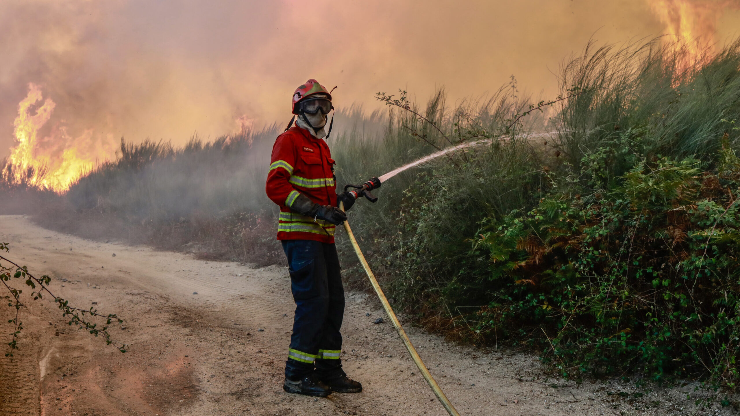 Incêndio em Idanha-a-Nova mobiliza mais de 150 operacionais e oito meios aéreos