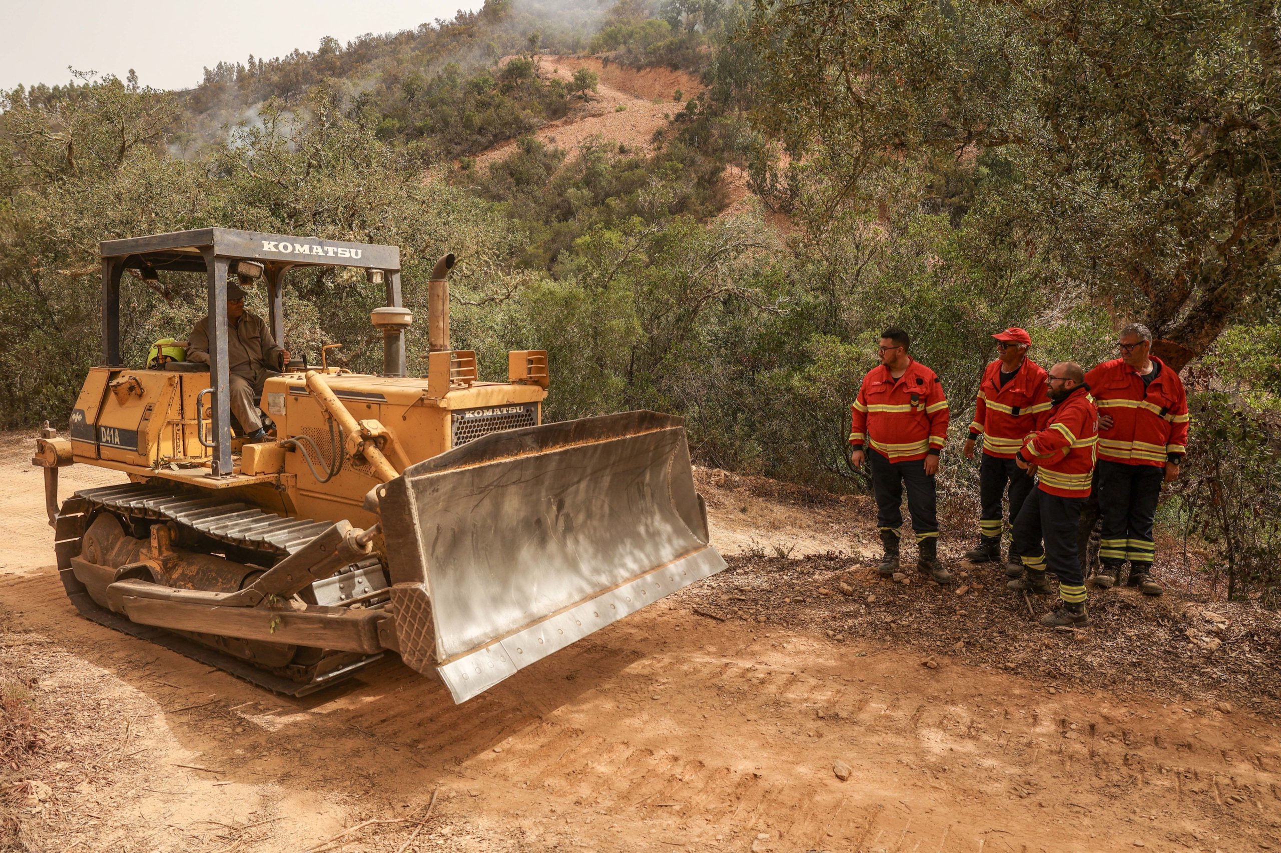 Incêndios: Empresários turísticos de Odemira trabalham para retomar reservas