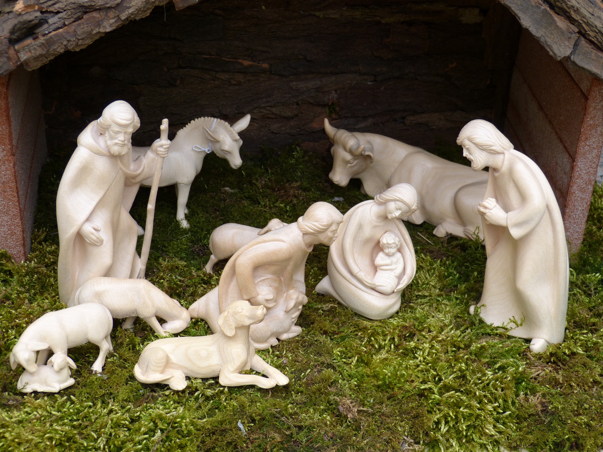 Um Natal sem musgo? Pode parecer estranho, mas é realmente necessário: “Até o Menino Jesus agradece”