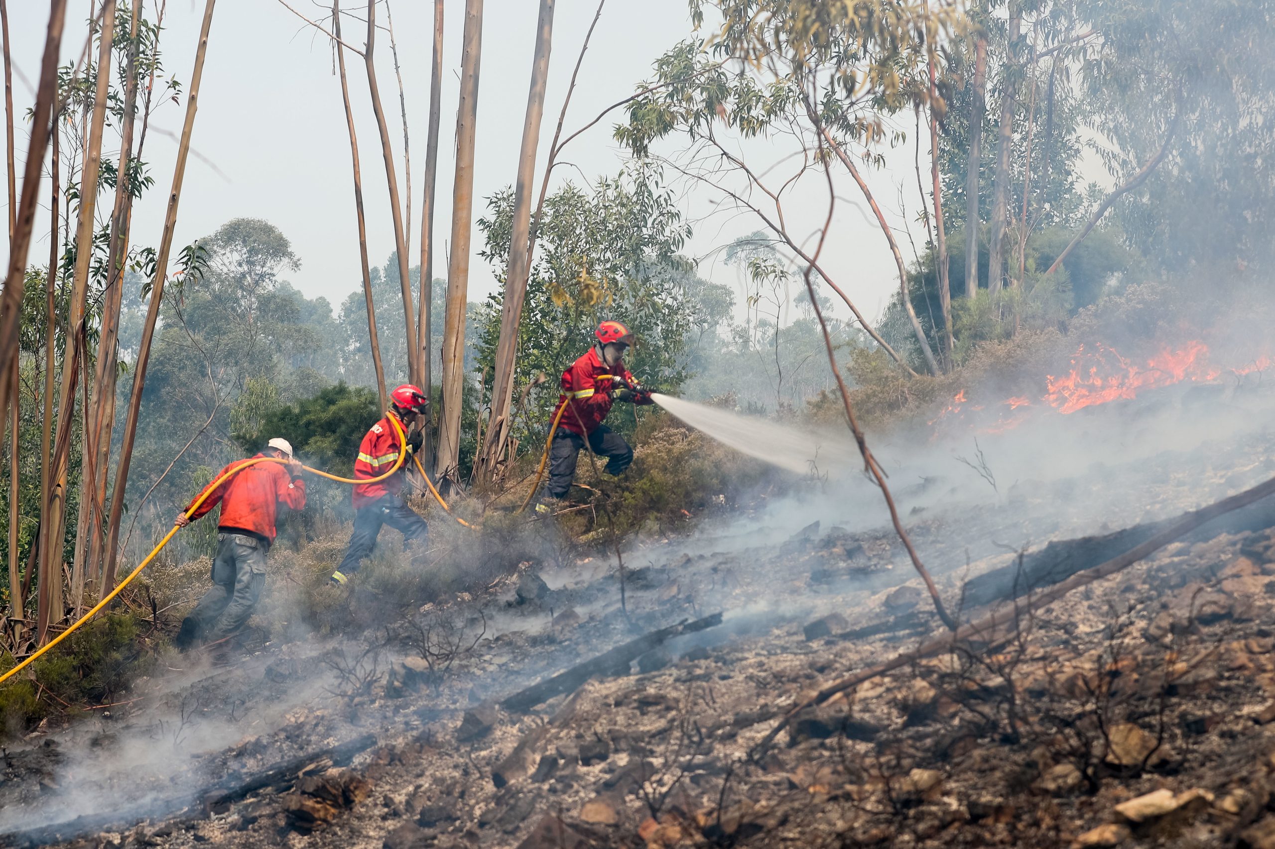 Incêndios. Fogo de Vila de Rei e Mação dominado. Efetivo mantém-se no terreno