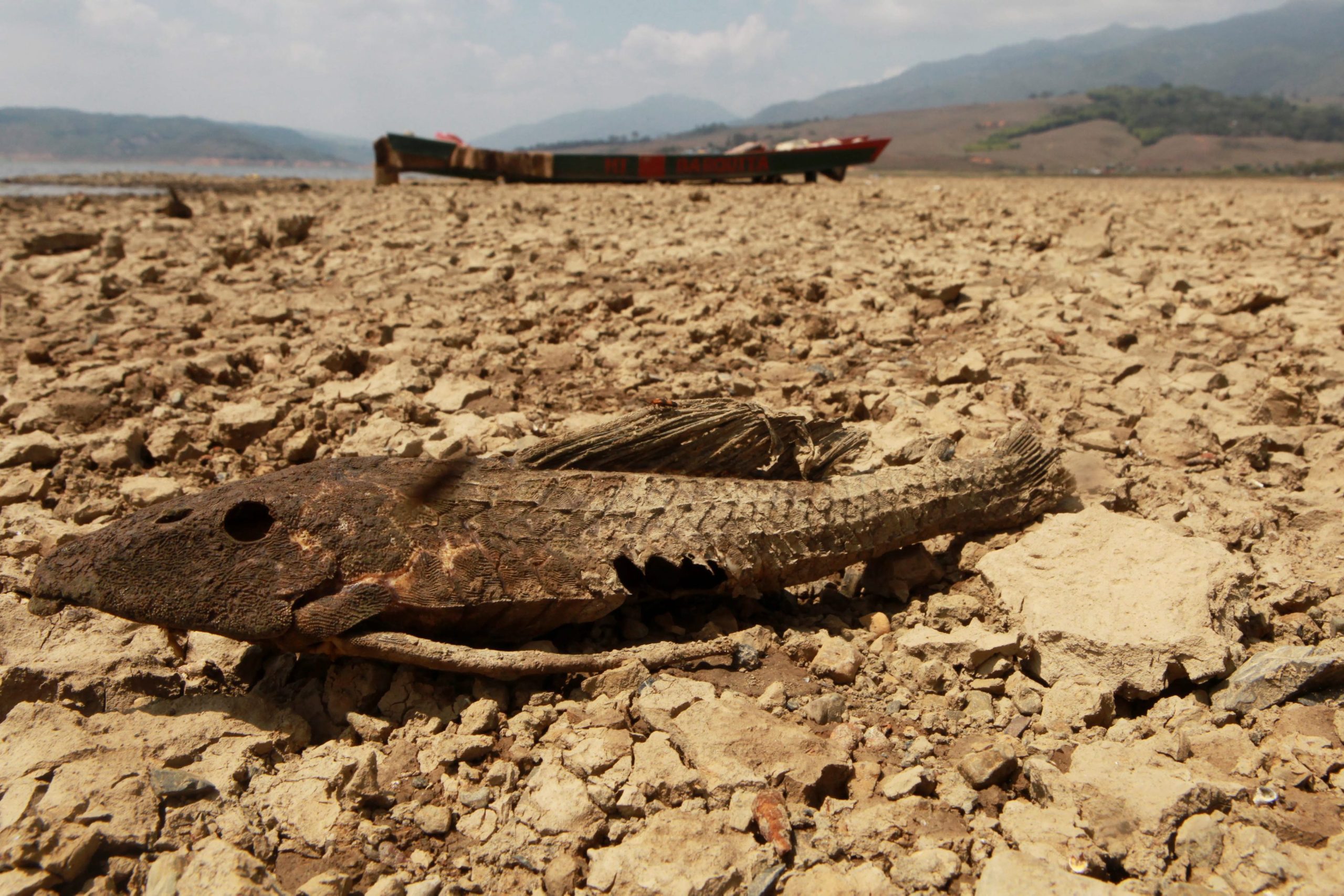 OMM alerta para possível regresso do El Niño nos próximos meses