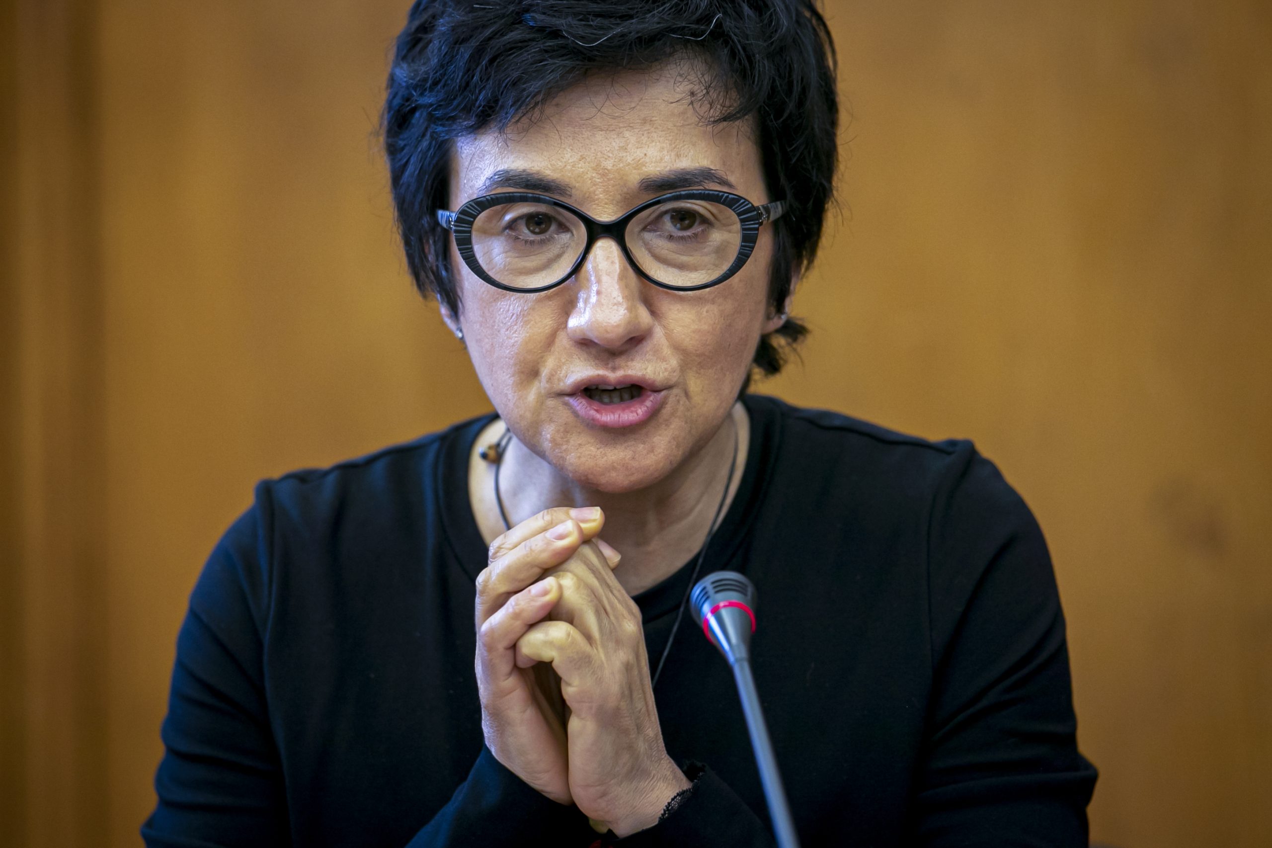 Ministra da Agricultura quer antecipar do envelope financeiro 2021-27