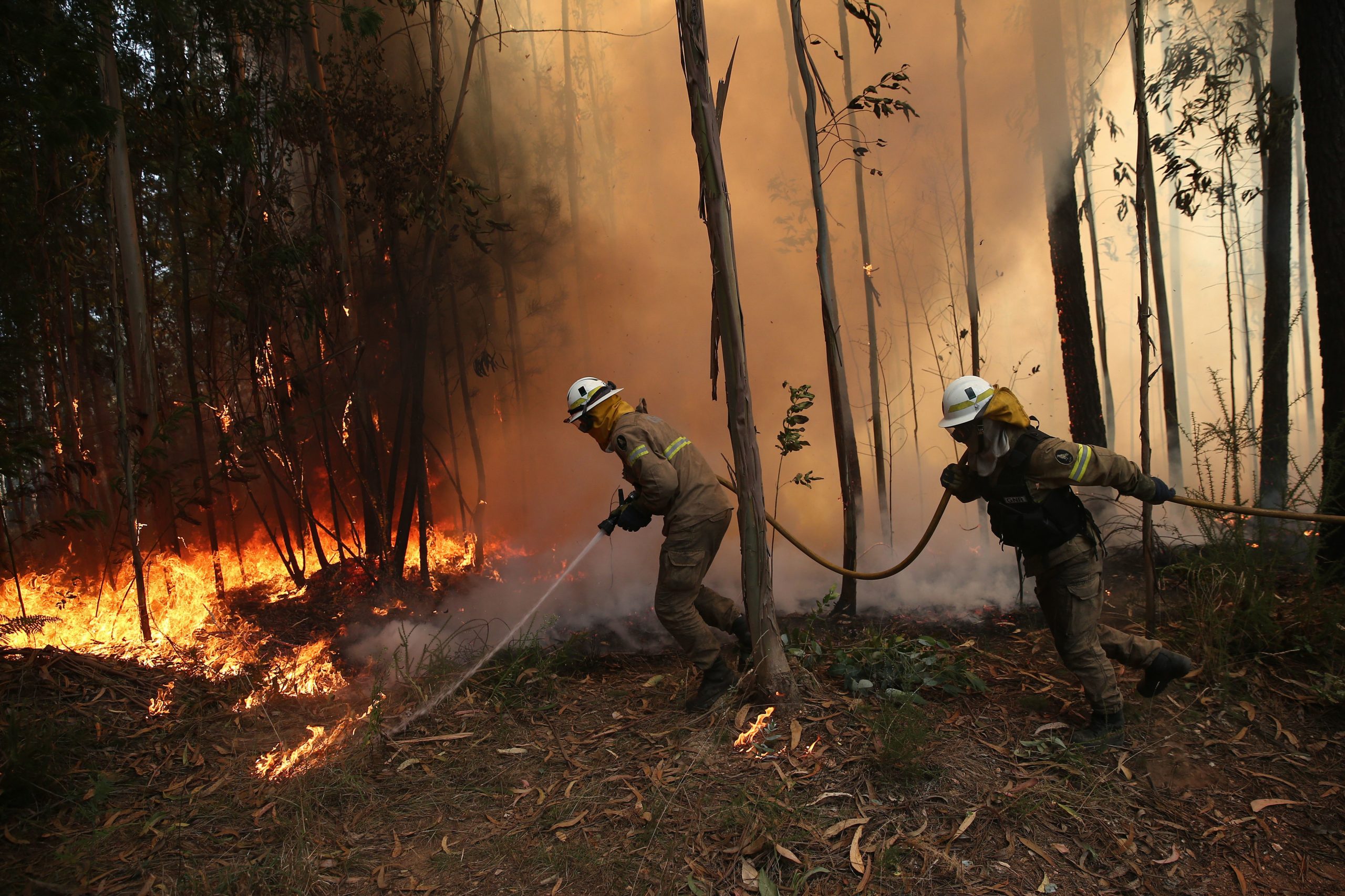 Incêndios: Chamas mobilizam 671 bombeiros em Miranda do Corvo