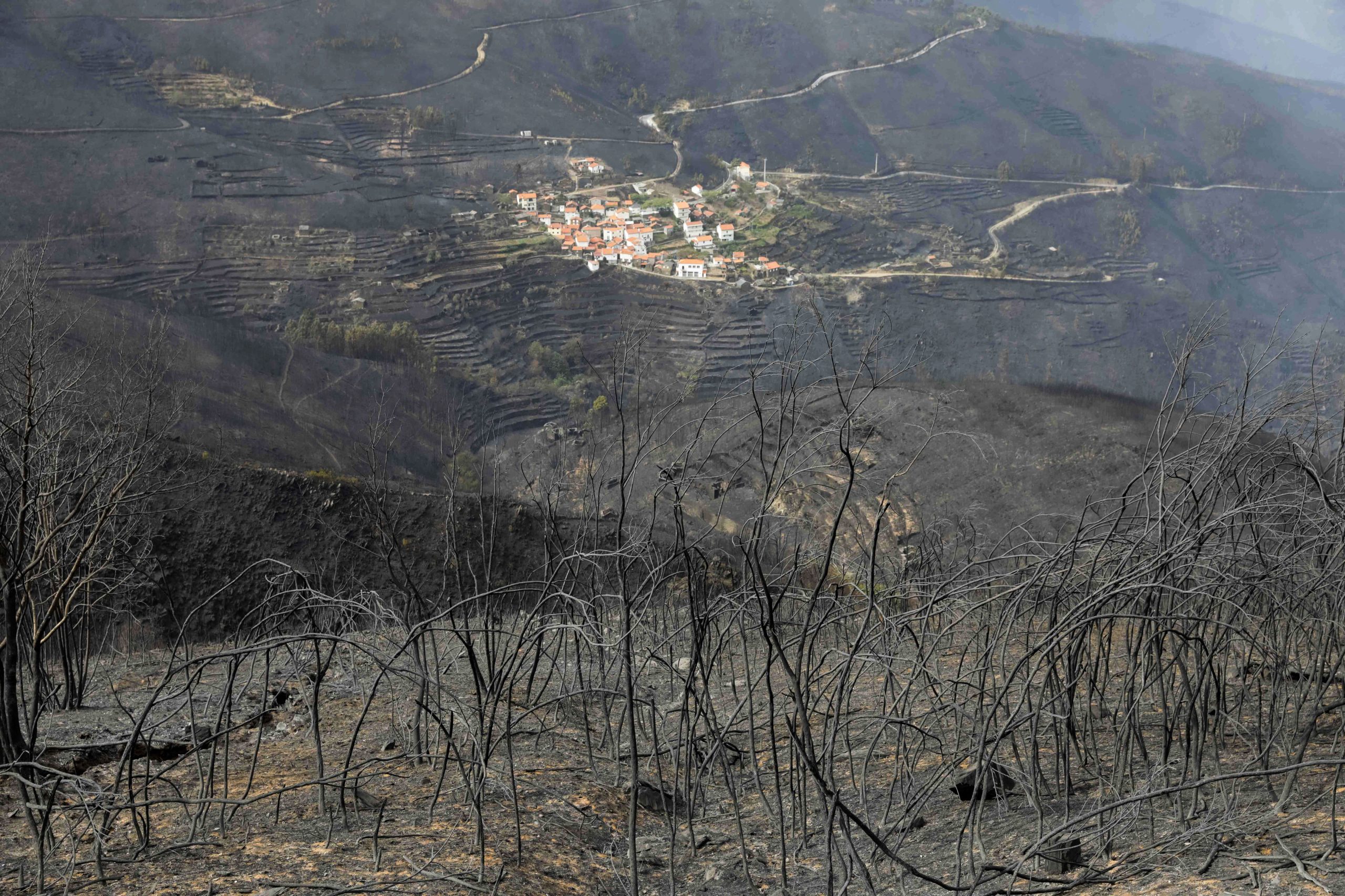 Arganil com um prejuízo direto de mais de 20 milhões de euros no incêndio de outubro