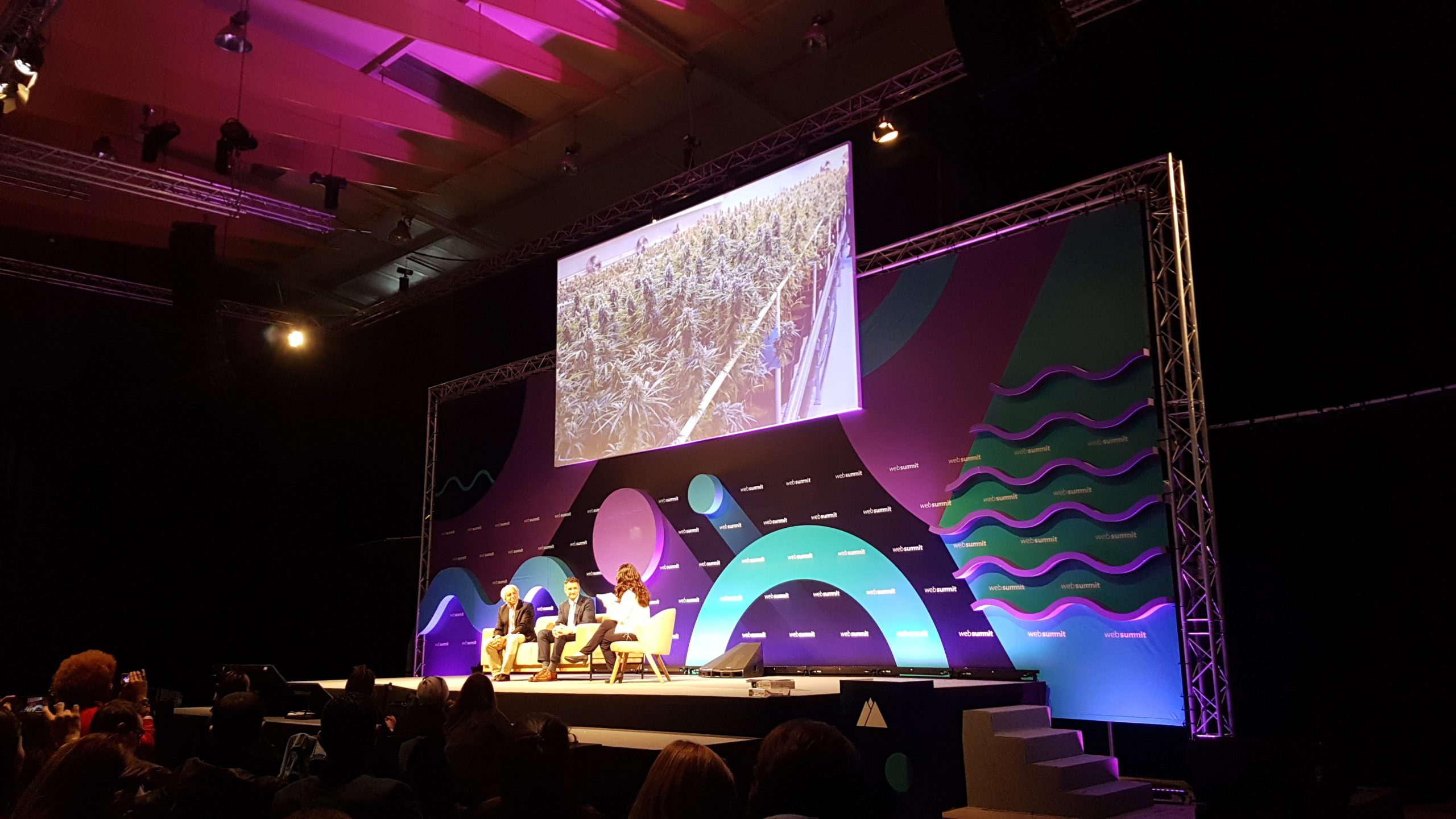 Web Summit. Maior plantação de canábis em Portugal começou a ser cultivada há duas semanas