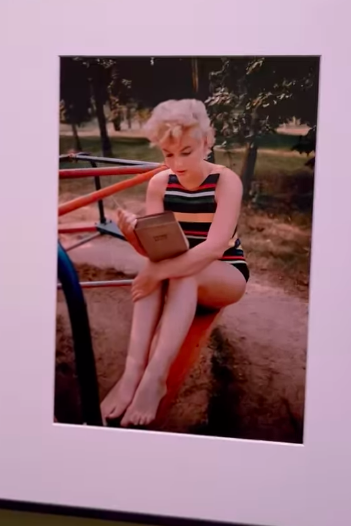Afinal, os melhores amigos de Marilyn Monroe não eram diamantes: atriz tinha uma biblioteca com mais de 400 livros