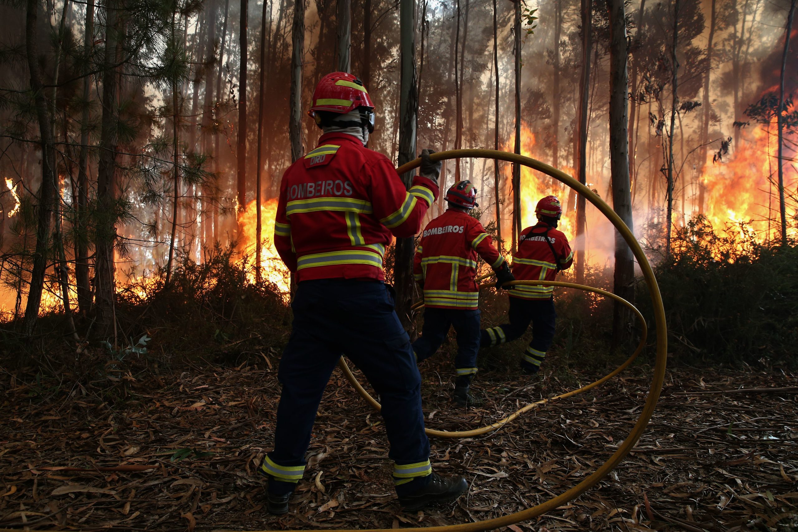 Incêndios: Fogo em Odemira com “grande parte dominado” e evolui “favoravelmente”
