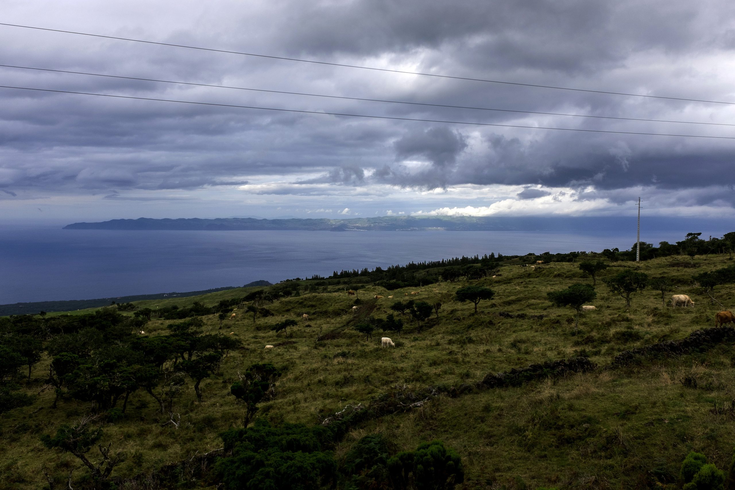 Cientistas enviam documento ao parlamento dos Açores a denunciar “atentado ambiental”