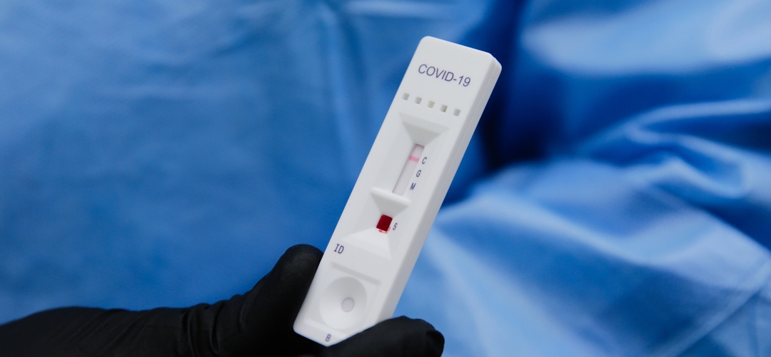 Covid-19: Polónia inicia produção de medicamento experimental com plasma sanguíneo