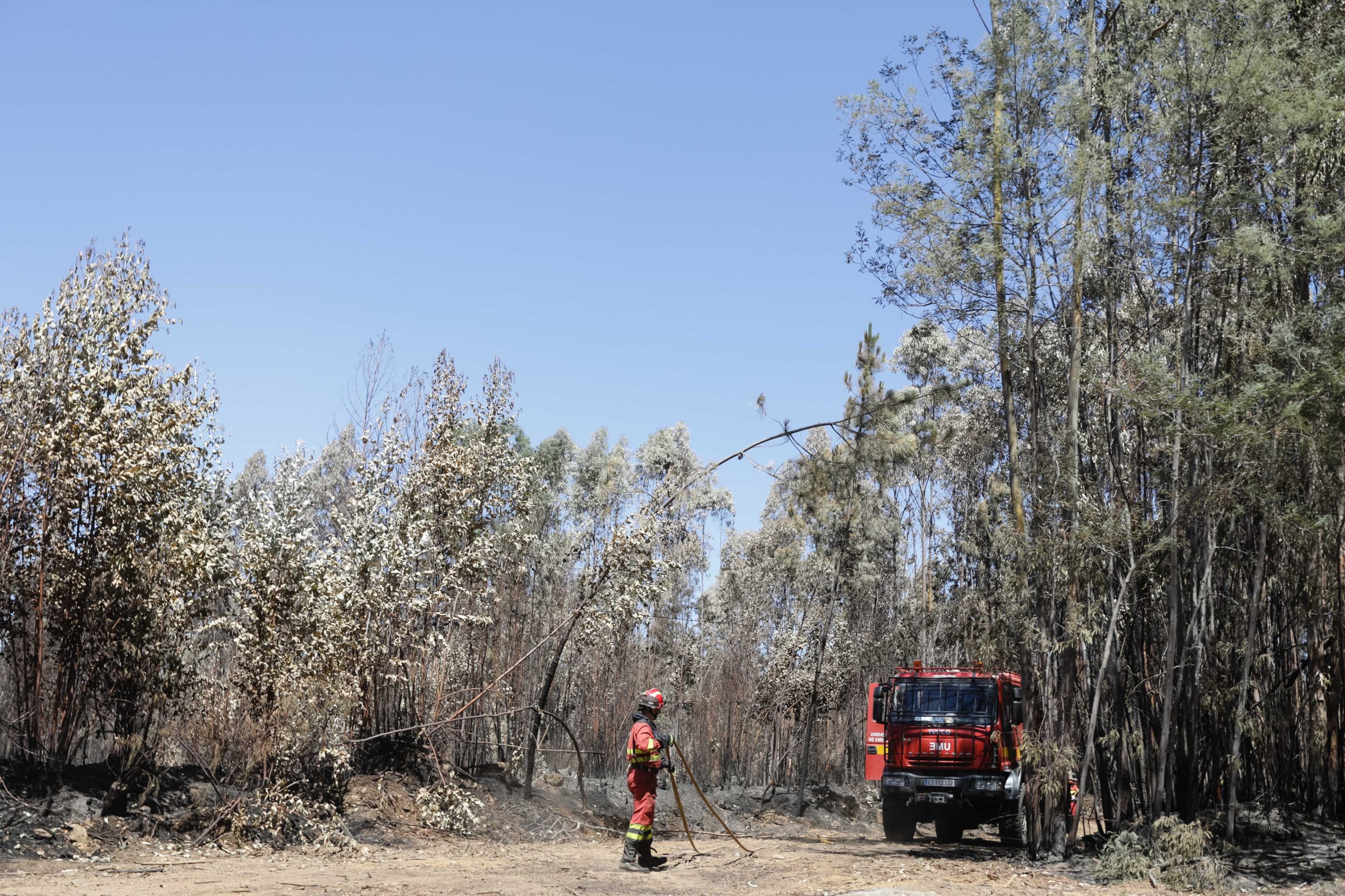 Pedrógão Grande: Bombeiros alertam para falta de voluntários e reivindicam benefícios