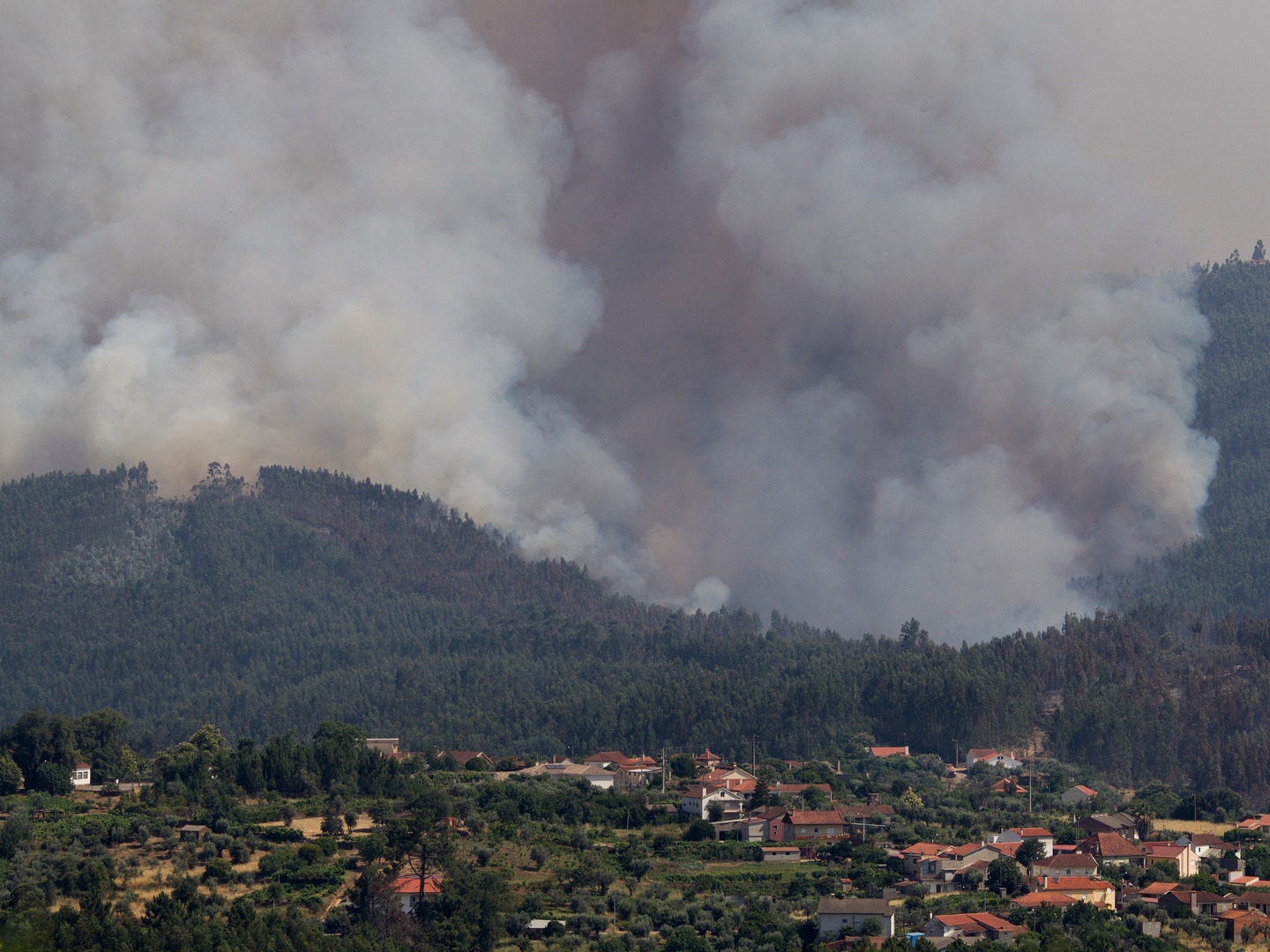 Governo quer Fundo Revita “exclusivamente afeto” aos concelhos dos incêndios de junho de 2017