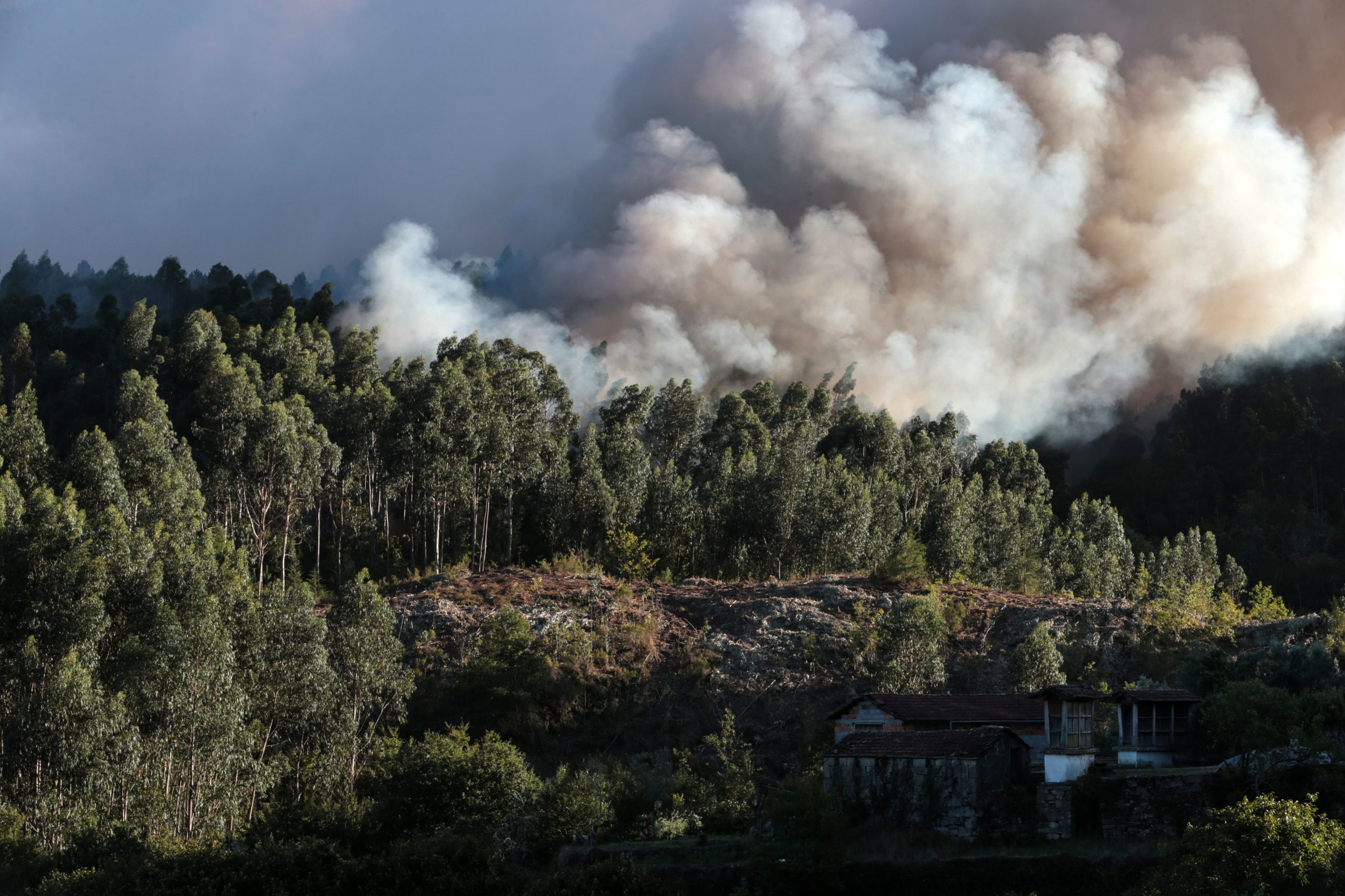 Fogo em Tarouca mobiliza mais de uma centena de operacionais e dois meios aéreos