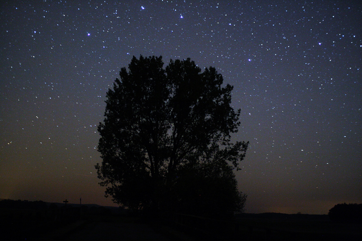 Extraterrestres no quarto ou luzes brilhantes no céu. Avistamentos de OVNIs aumentam na Irlanda do Norte