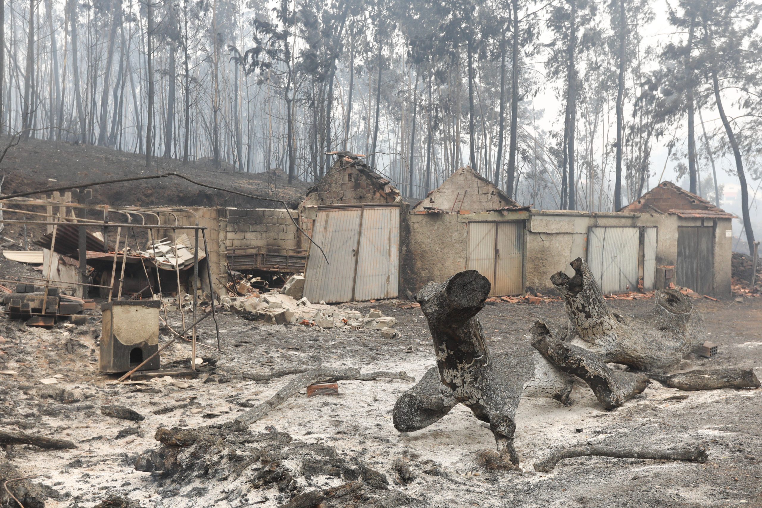 Incêndios: Especialista alerta para “grande problema” das cinzas quando chover
