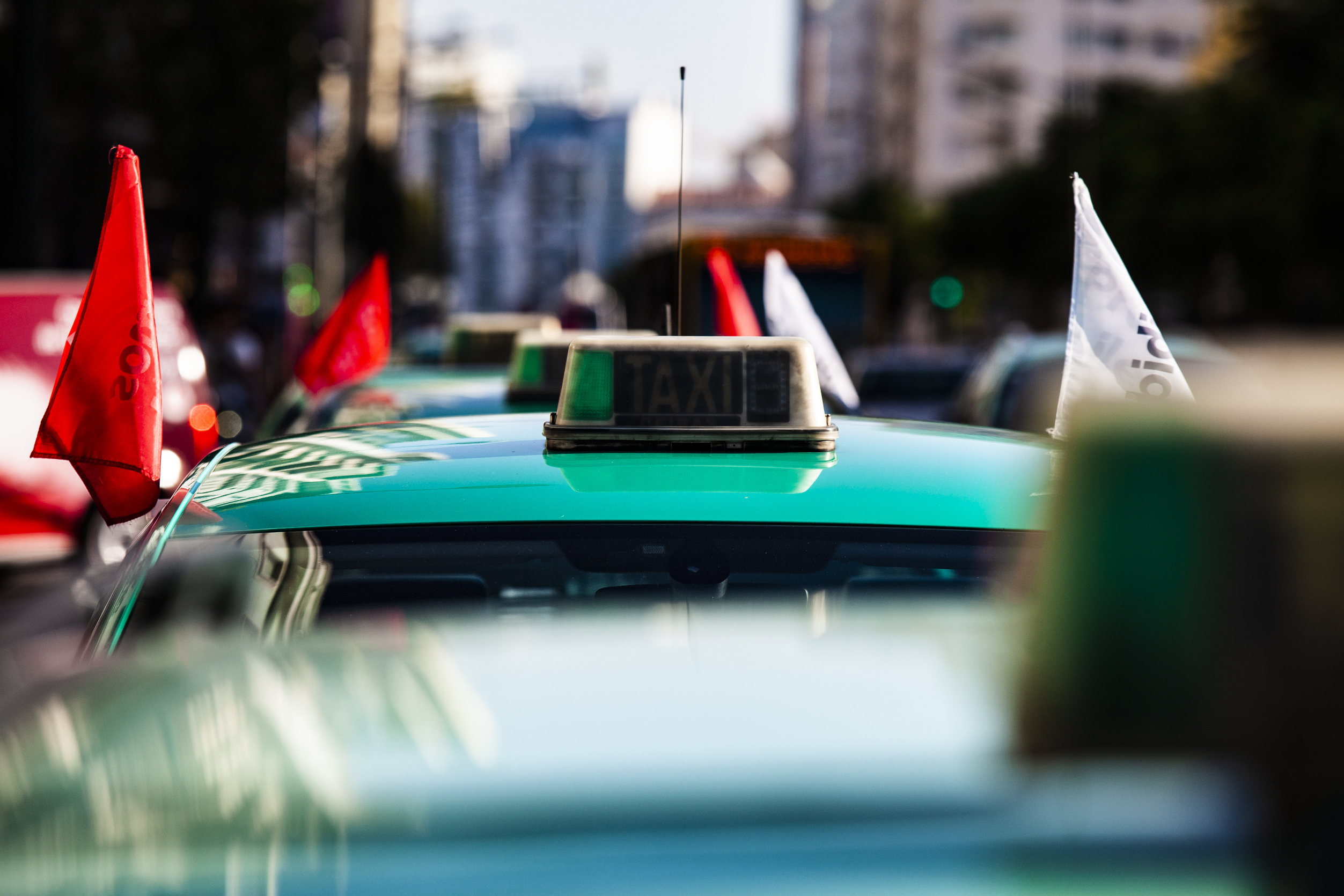 Europeias: PTP apela ao voto dos taxistas reclamando ser o único partido que defende setor