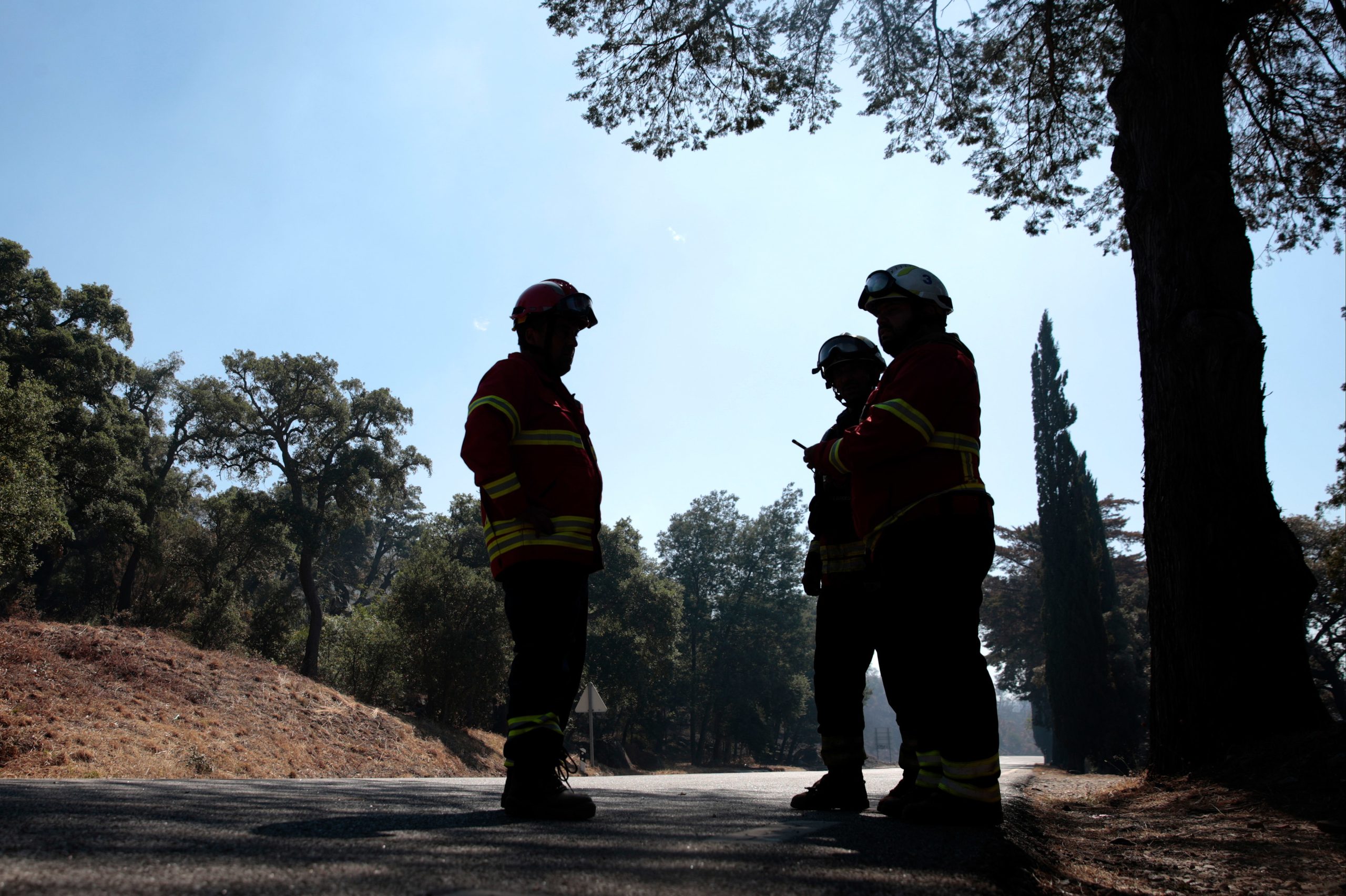 Incêndios. Bombeiros esperam dominar fogo em Alfandega da Fé nas próximas horas