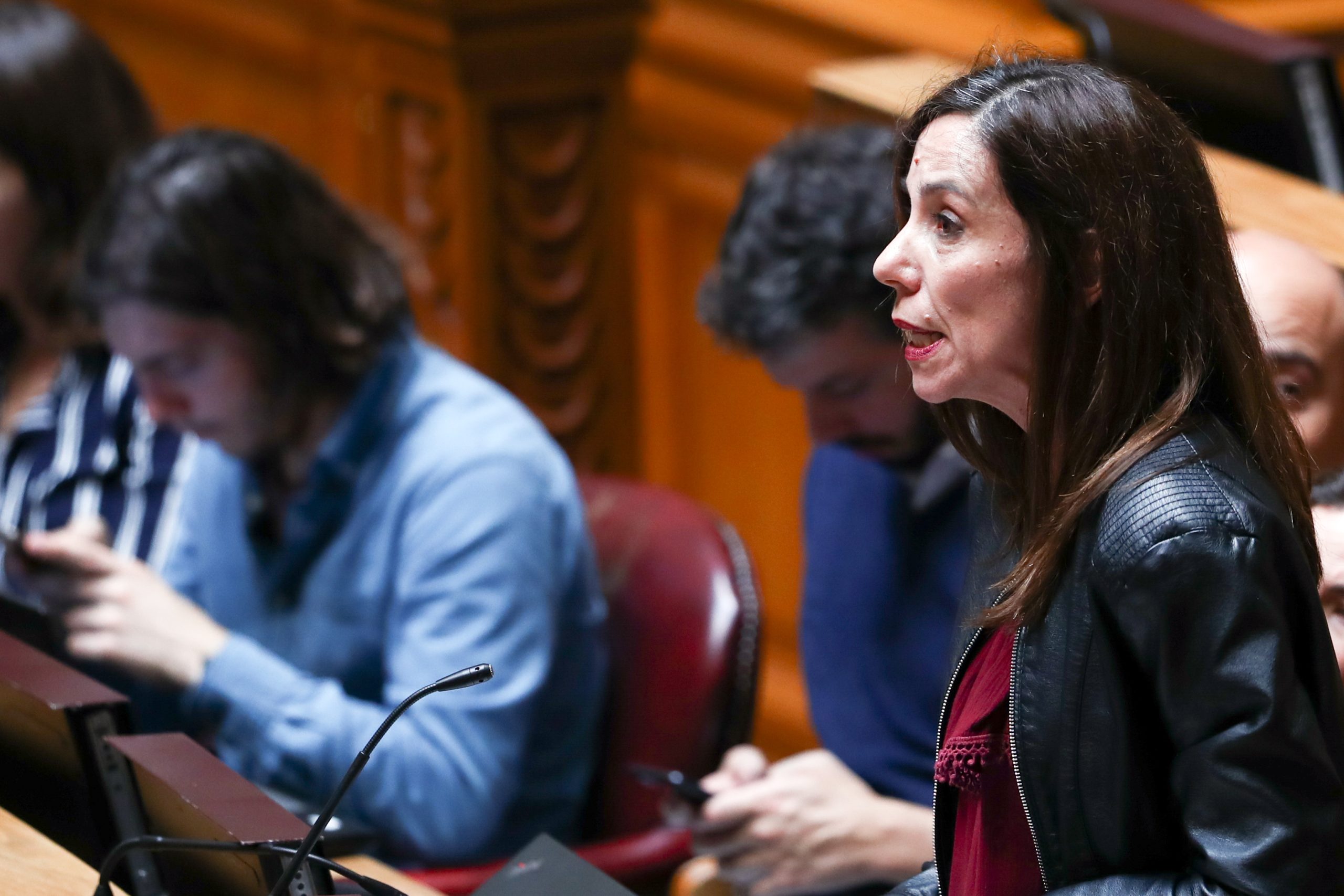PEV alerta para riscos da expansão da monocultura intensiva do olival