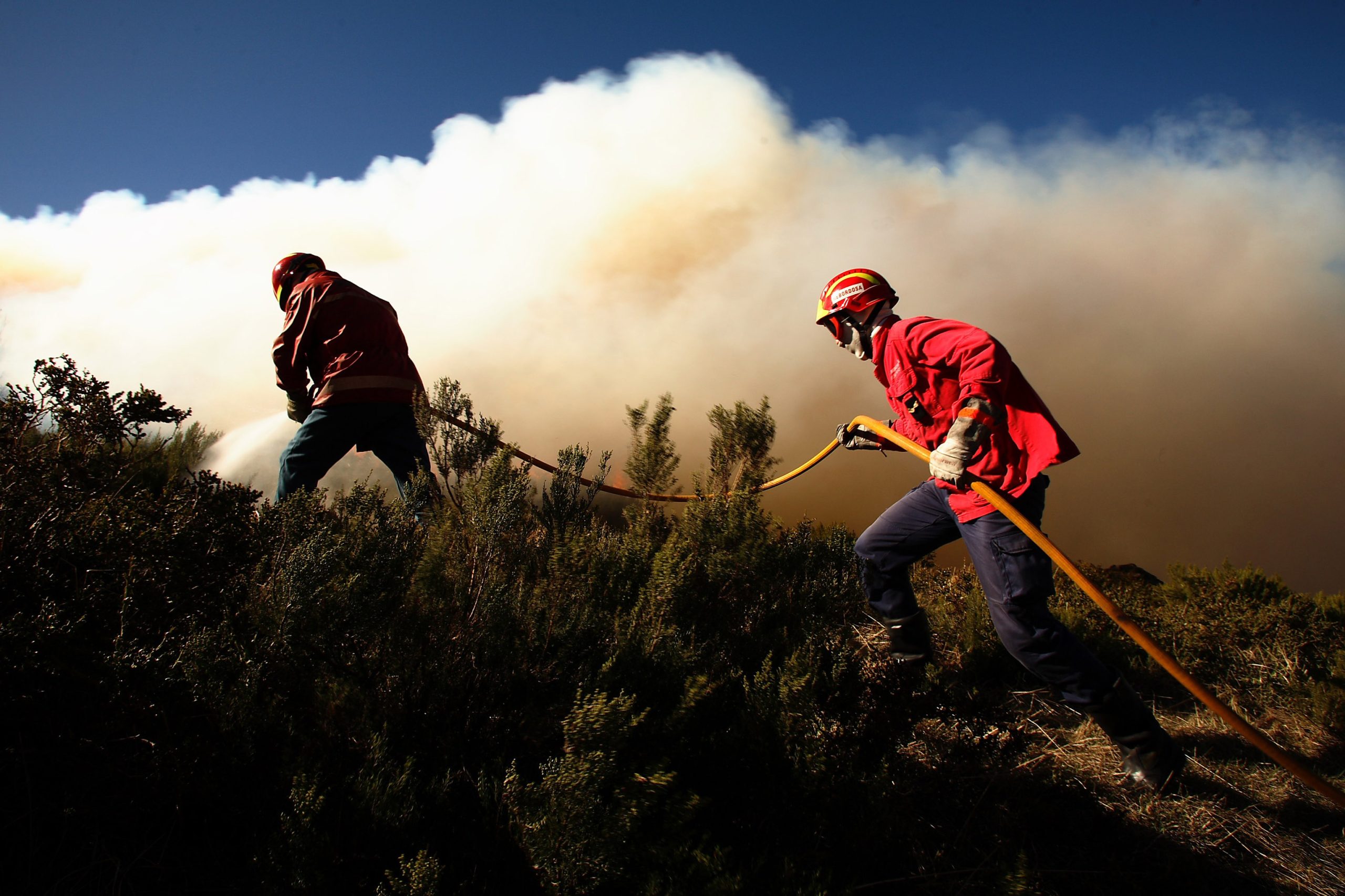 Incêndios: Forte intensidade do vento dificulta combate às chamas em Baião