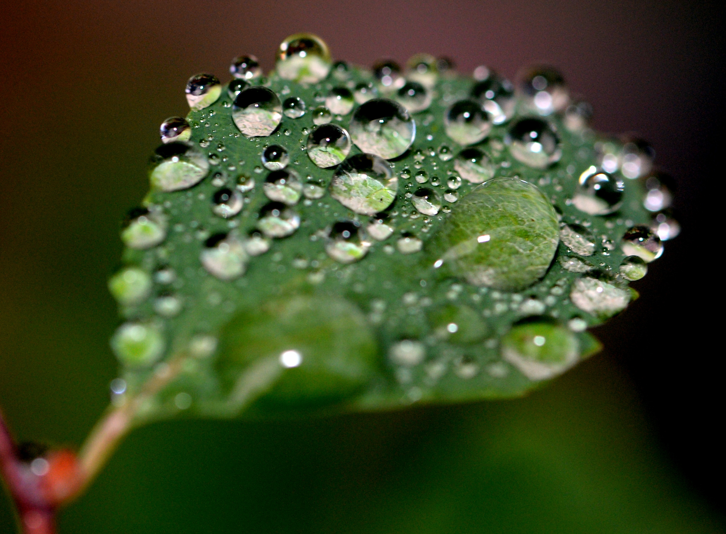 Primeiro fim de semana de outono com chuva fraca e máximas a variar entre 27 e 30 graus