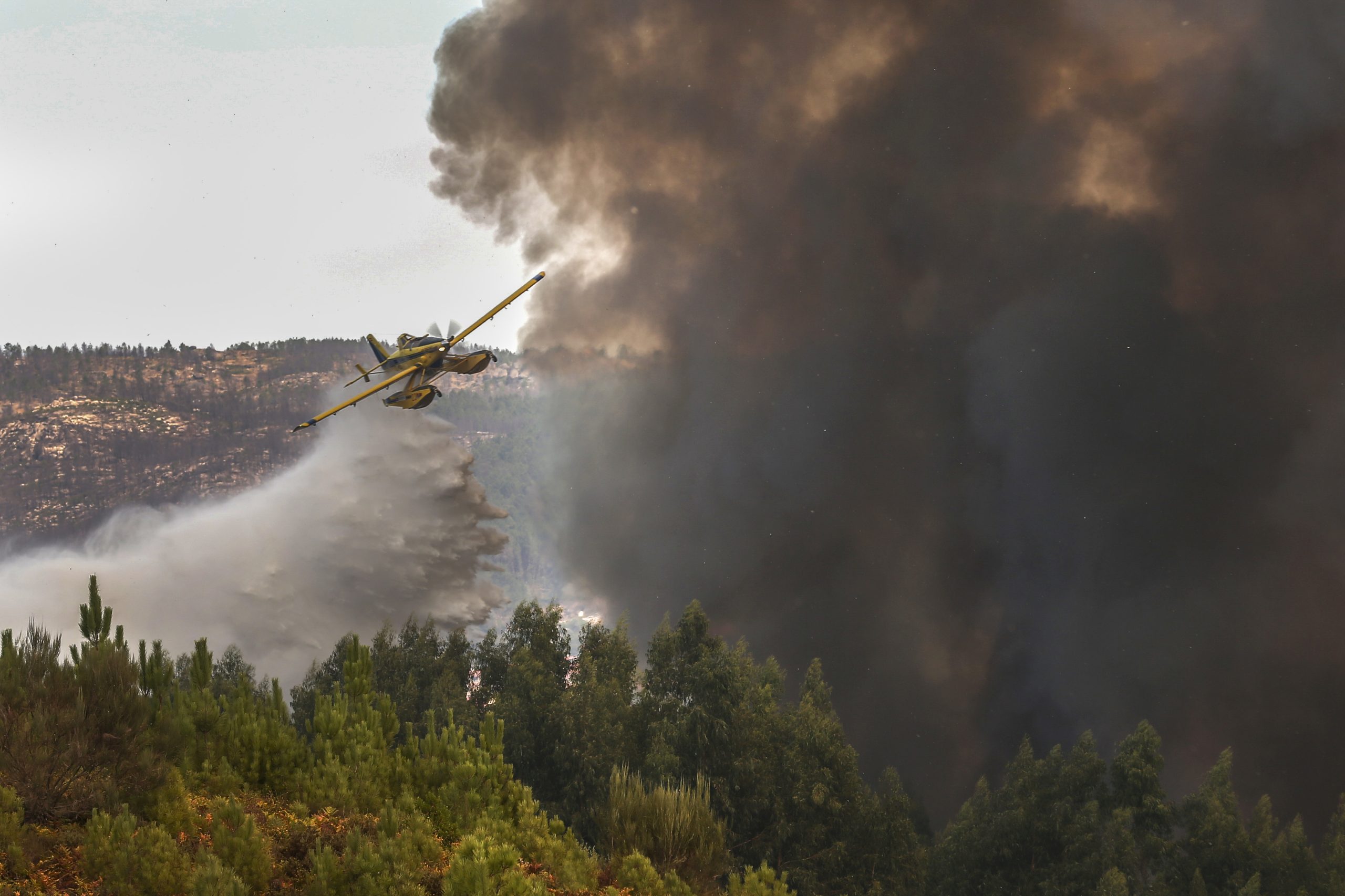 Incêndios: Um dos dois fogos de Castro Daire entrou em fase de resolução