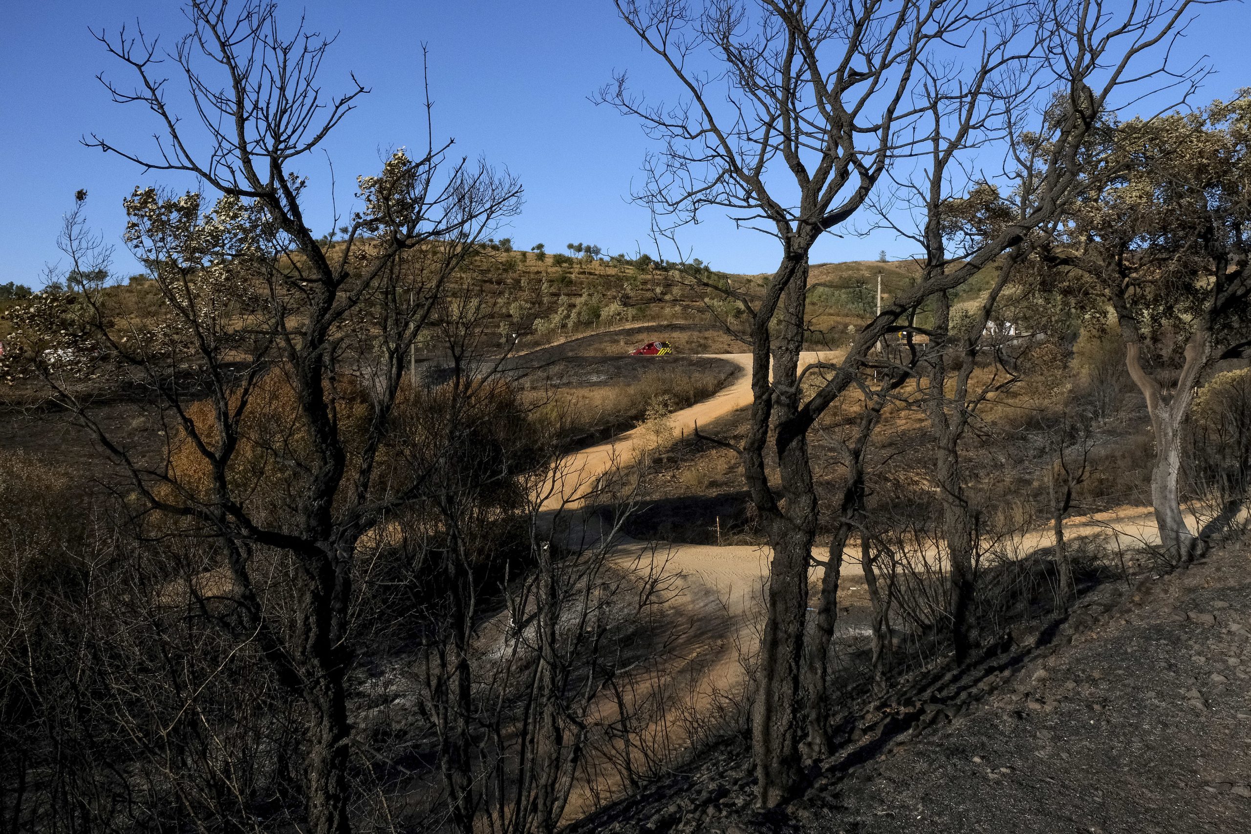 Incêndios: Estrada Nacional 120 condicionada devido a fogo em Odemira