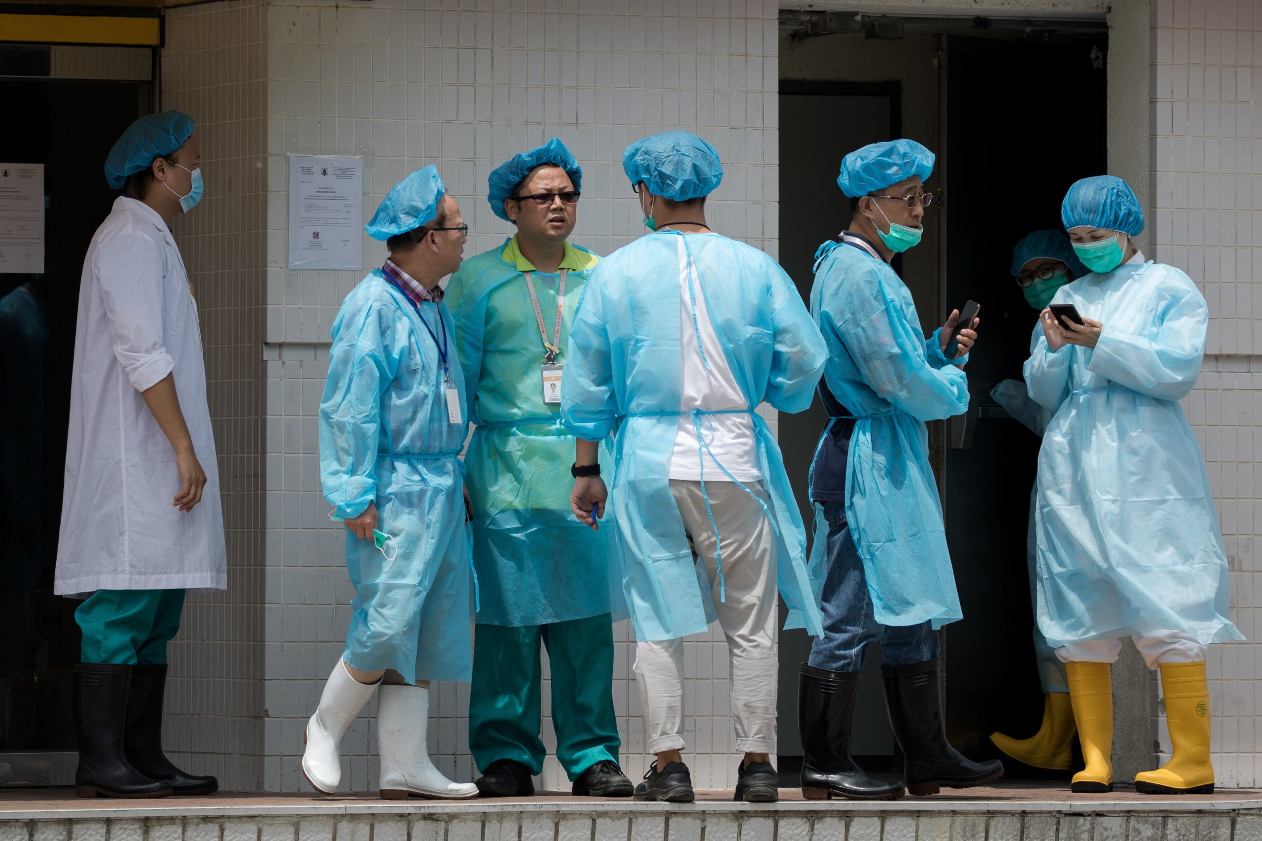 China abateu mais de um milhão de porcos devido a peste suína