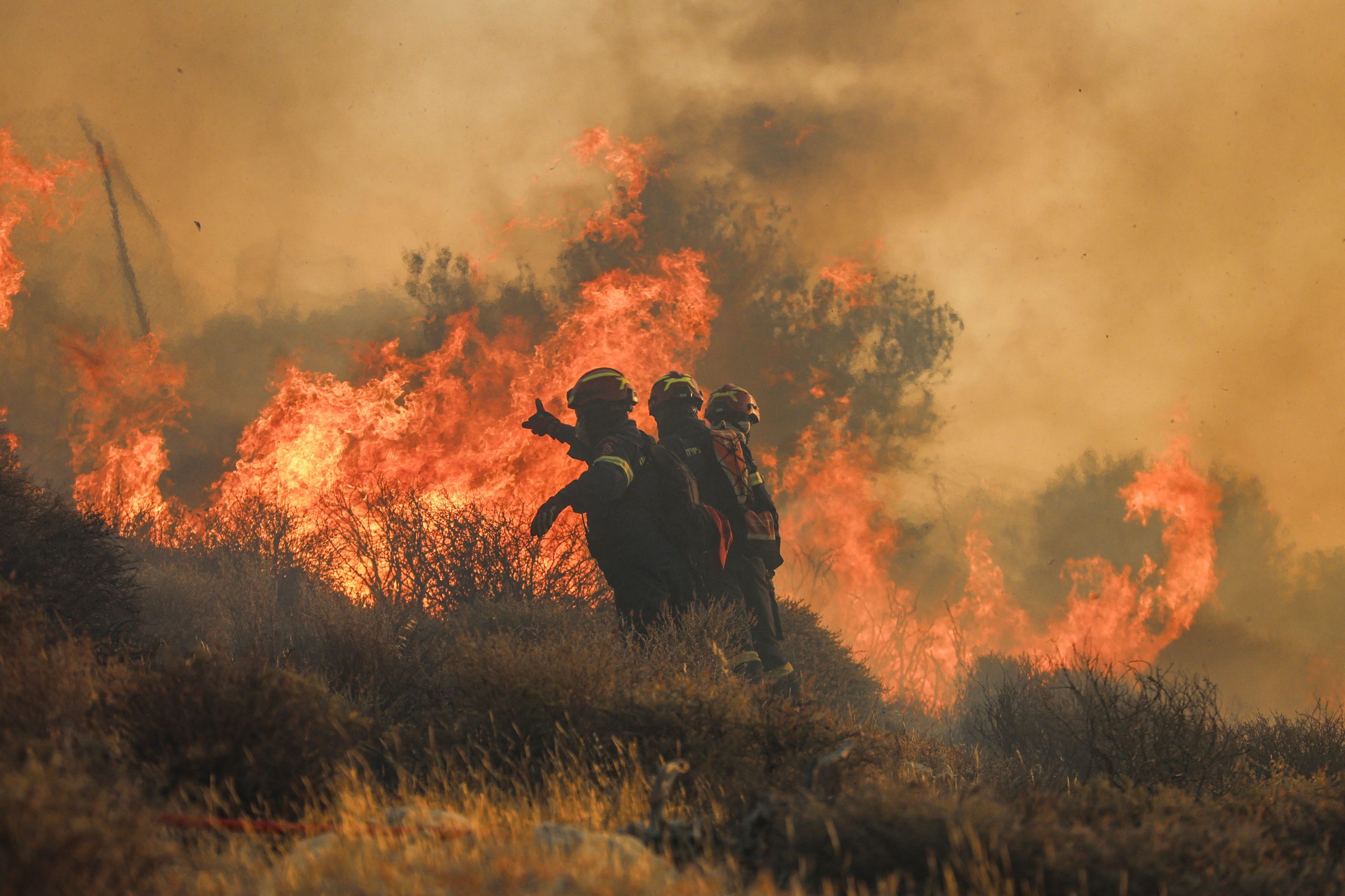PJ detém homem que confessou autoria de incêndio no Sabugal