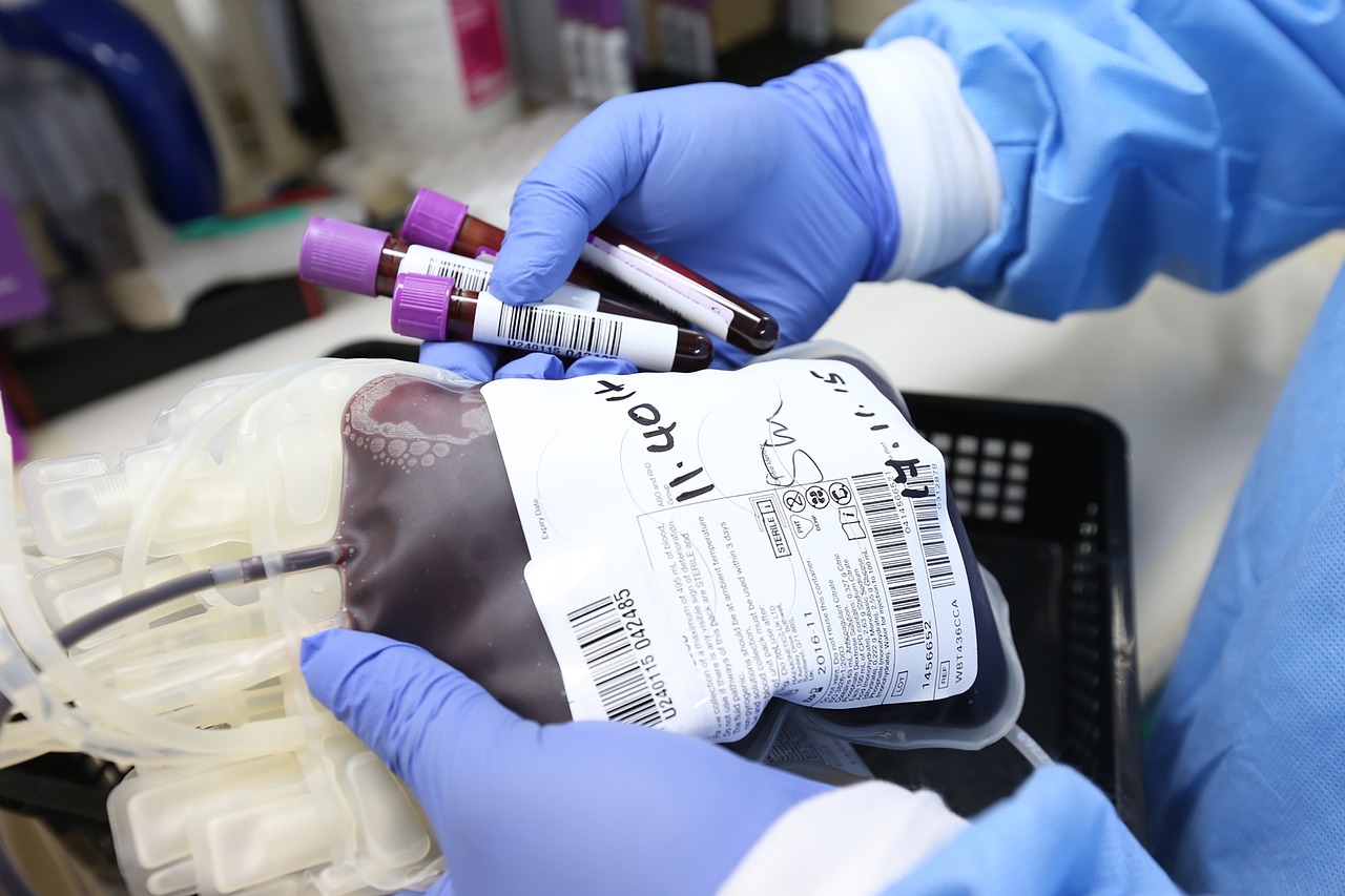 “Neste Natal dê o seu melhor presente”: é preciso reforçar reservas de sangue