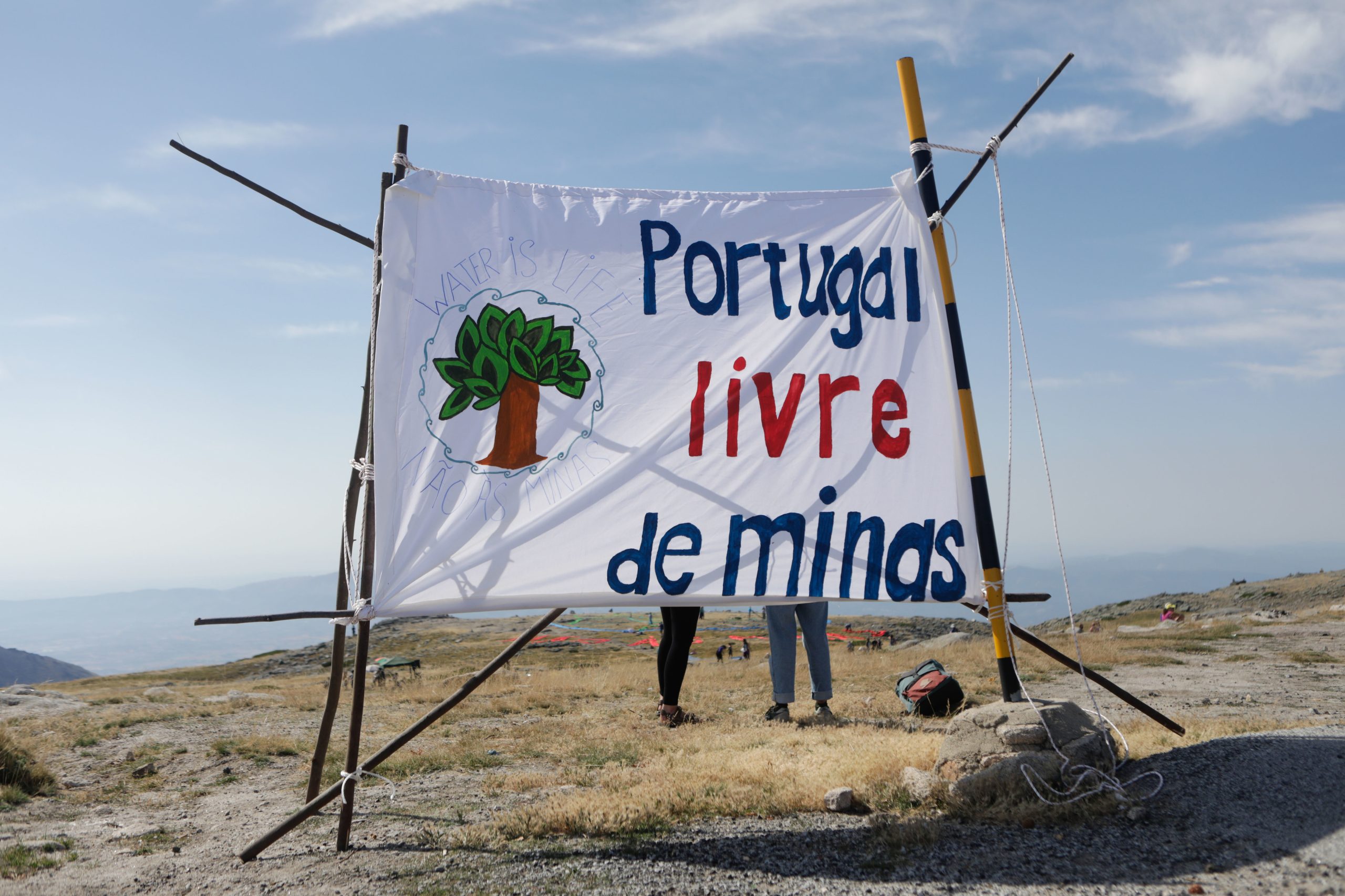 Contra a mina de lítio em Montalegre, plantaram árvores nos furos de prospeção