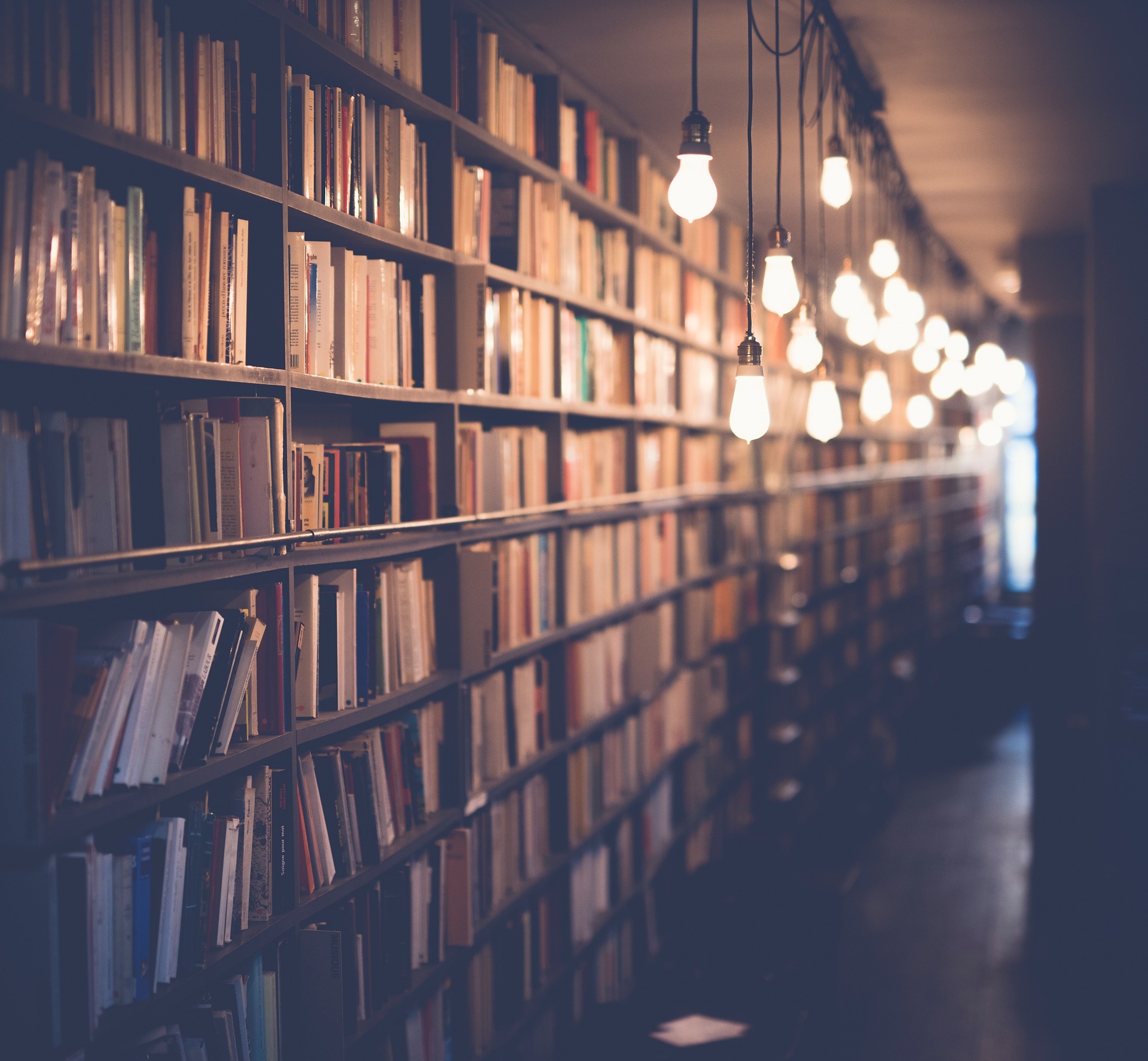 Rentrée literária do Grupo Infinito Particular traz novos livros de Ali Hazelwood, Carla Madeira e R. F. Kuang
