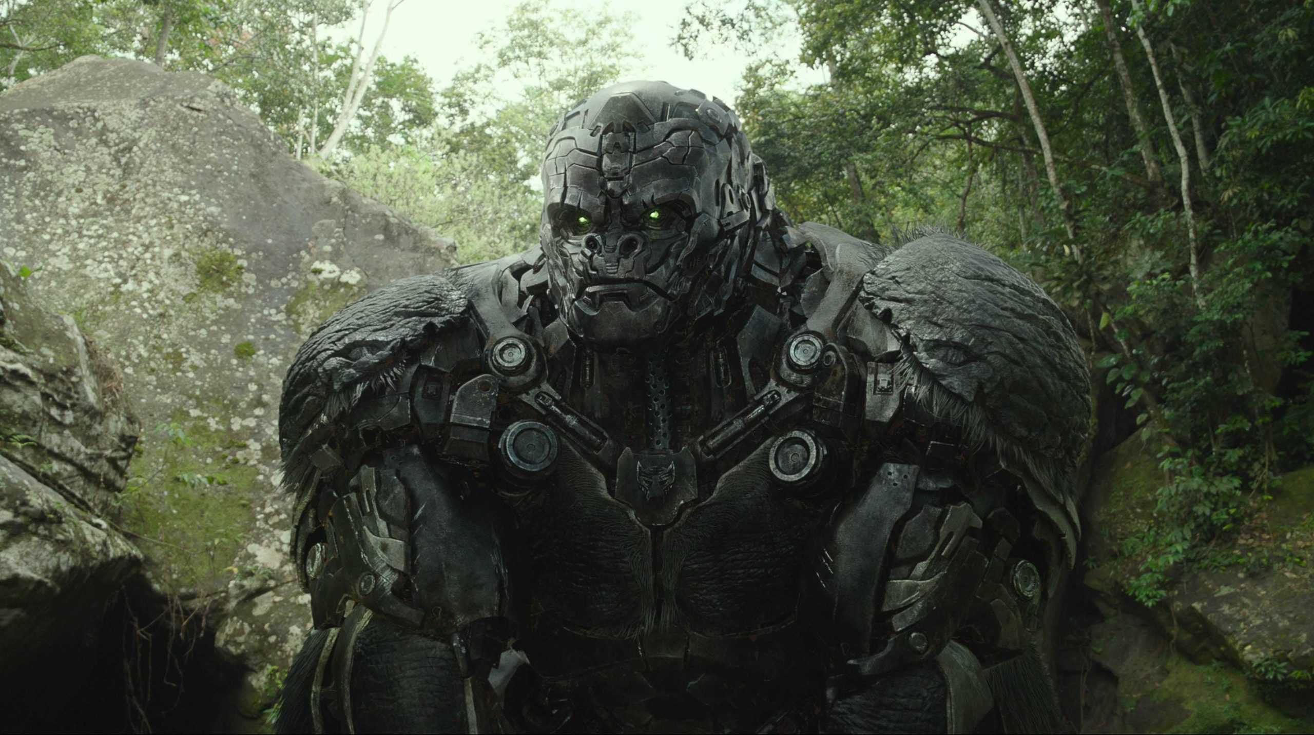 Transformers: O Despertar das Feras – Enganaram-nos bem